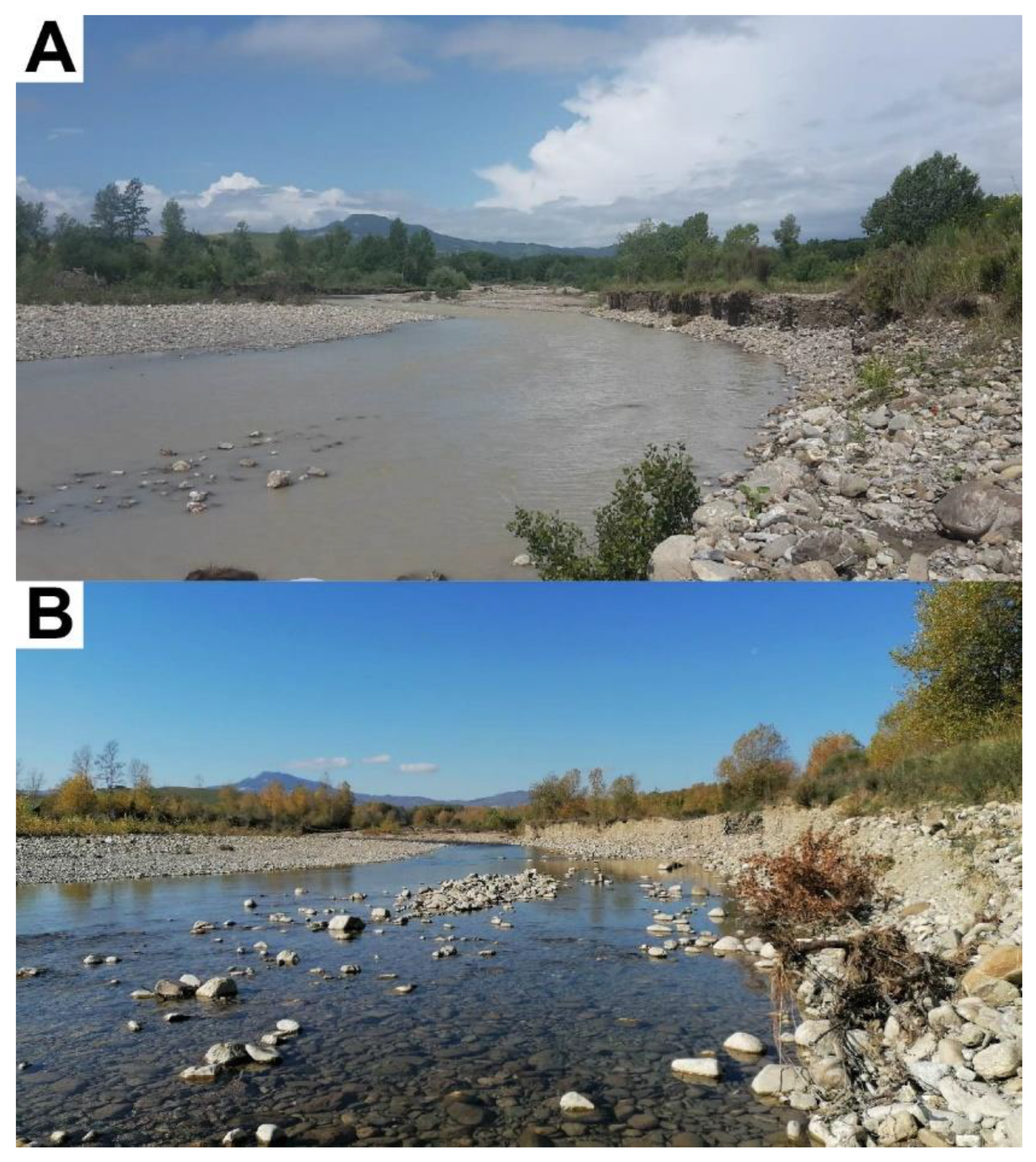 Toxics 10 00395 g004