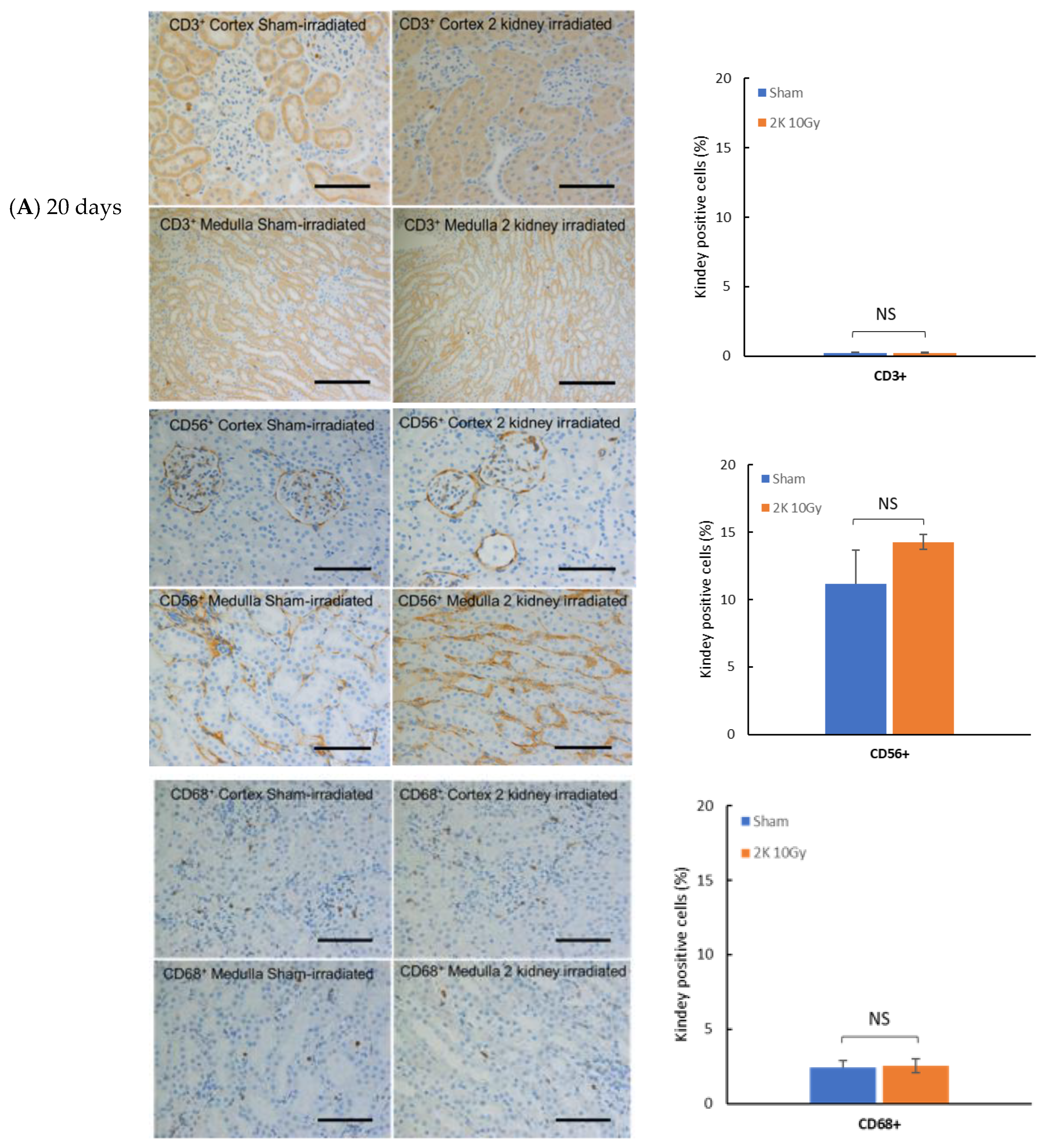 Toxics 10 00797 g002a