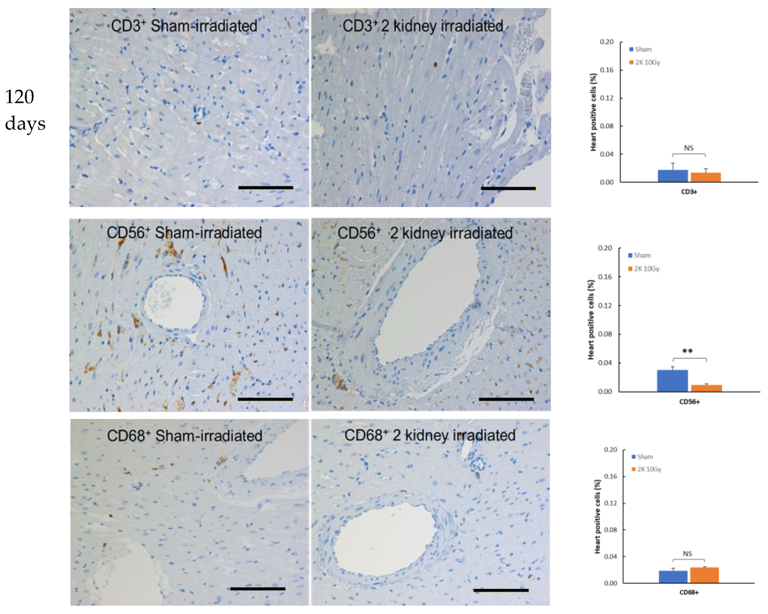 Toxics 10 00797 g003