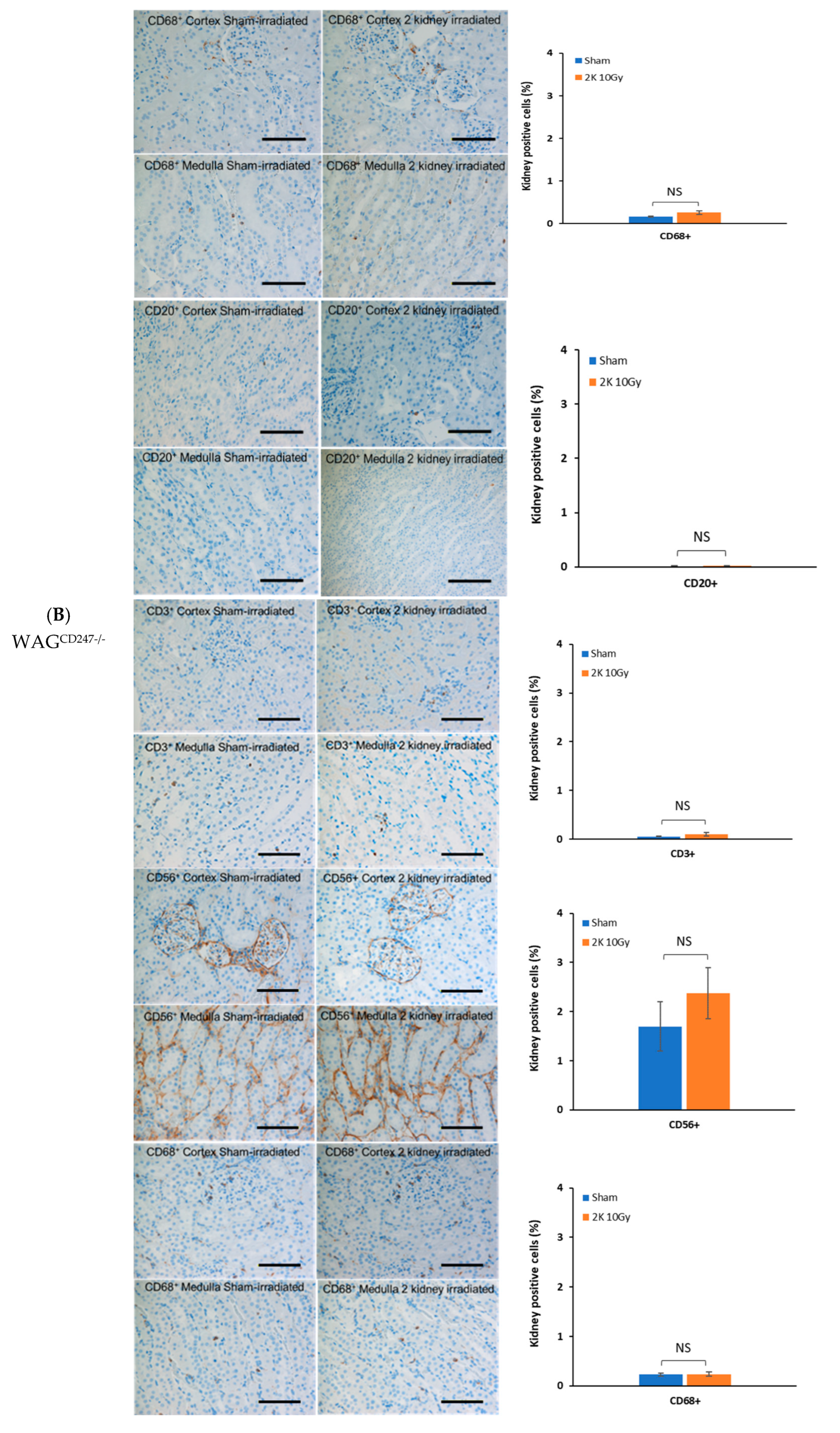 Toxics 10 00797 g007b