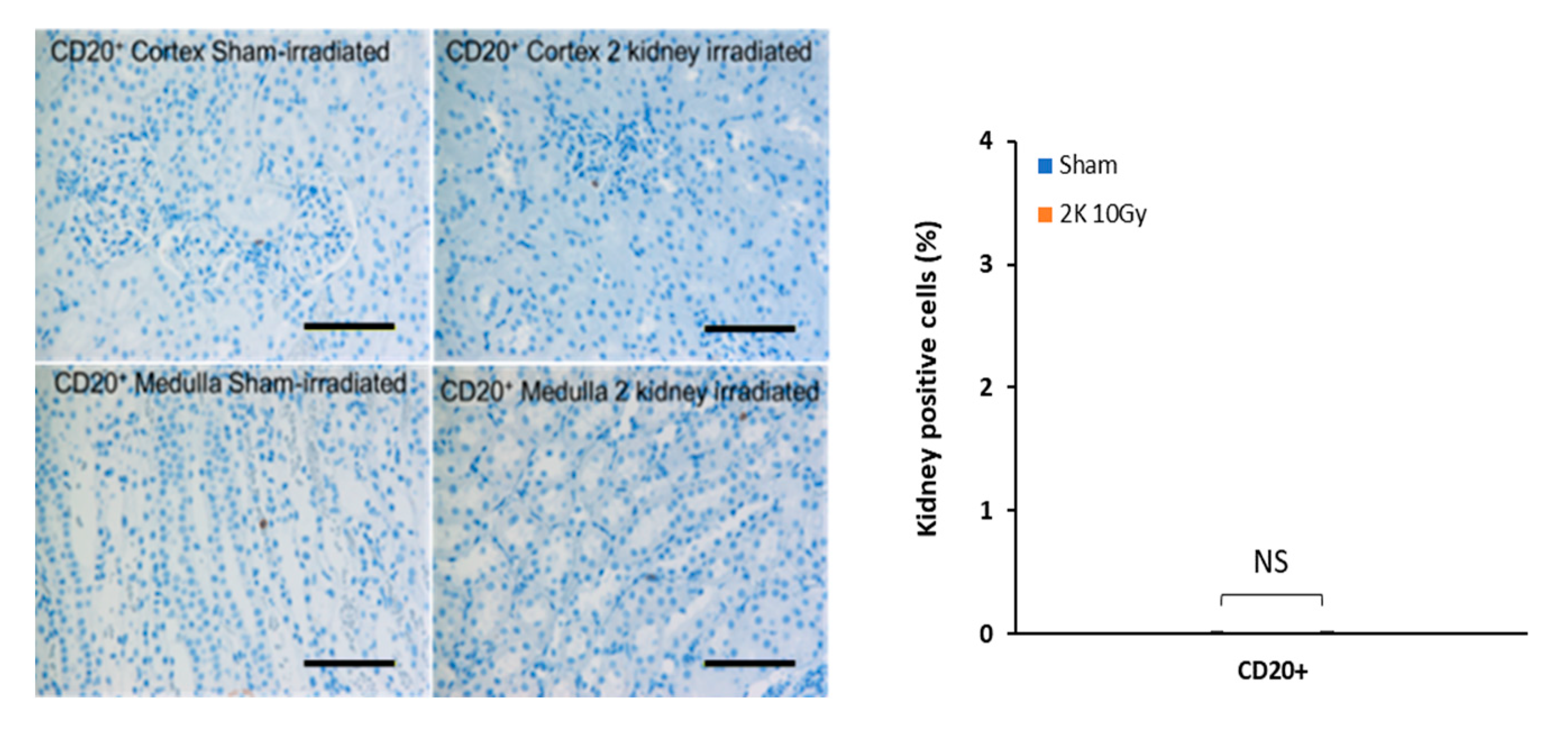 Toxics 10 00797 g007c