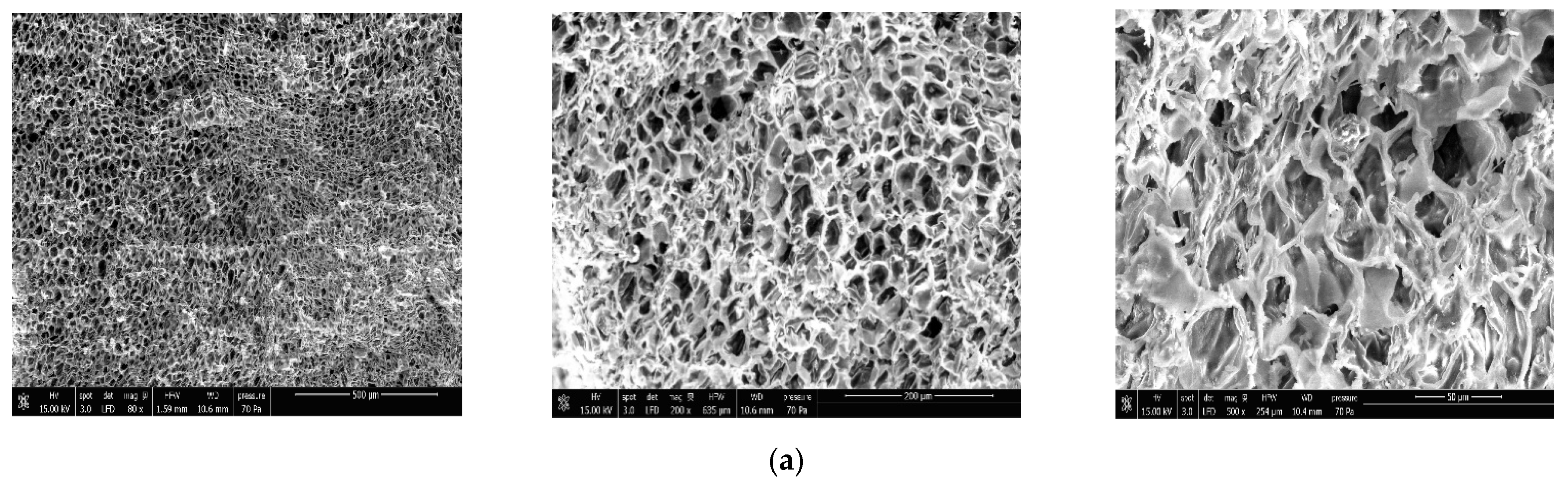 Toxics 11 00081 g002a