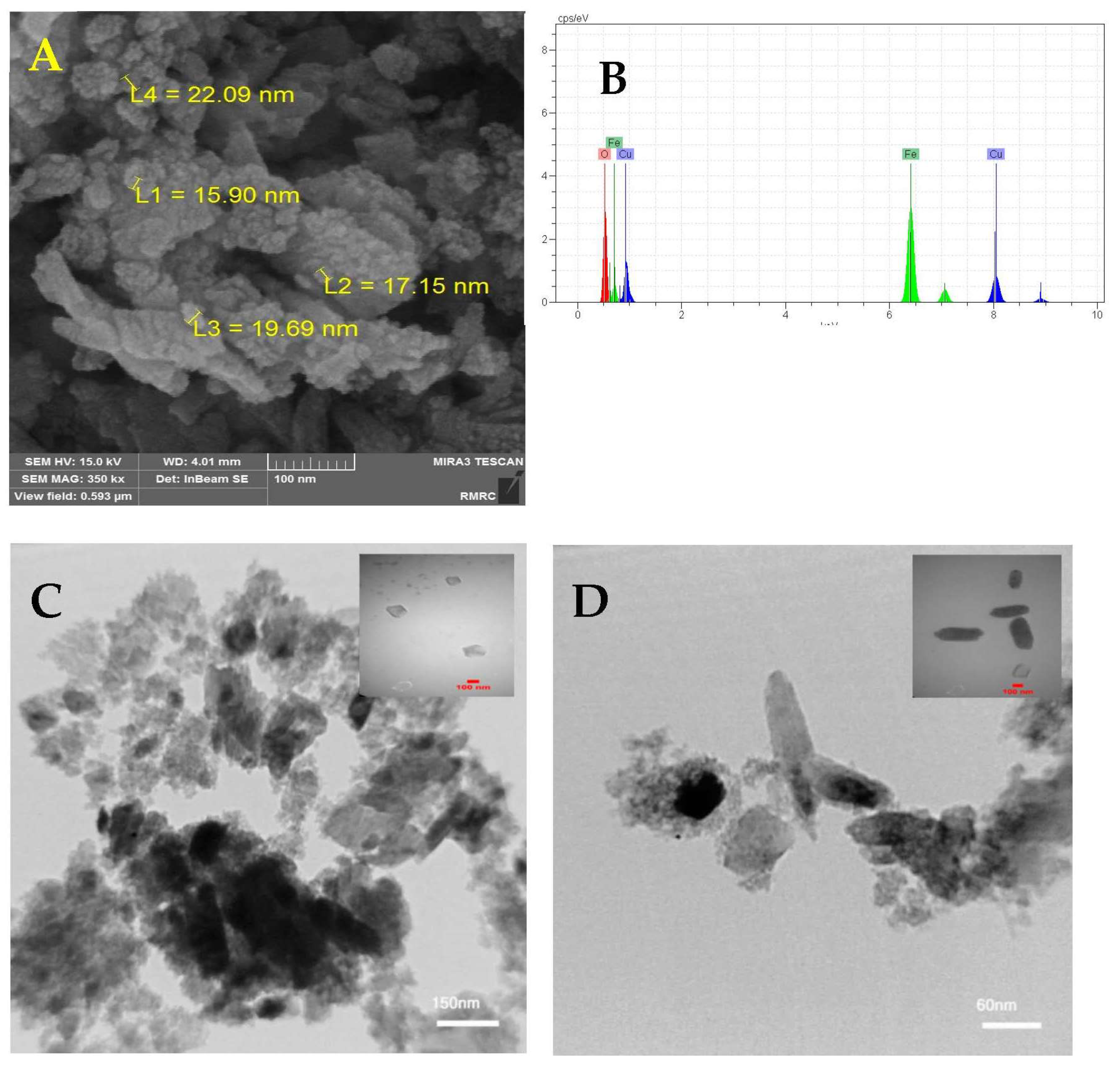 Toxics 11 00429 g001