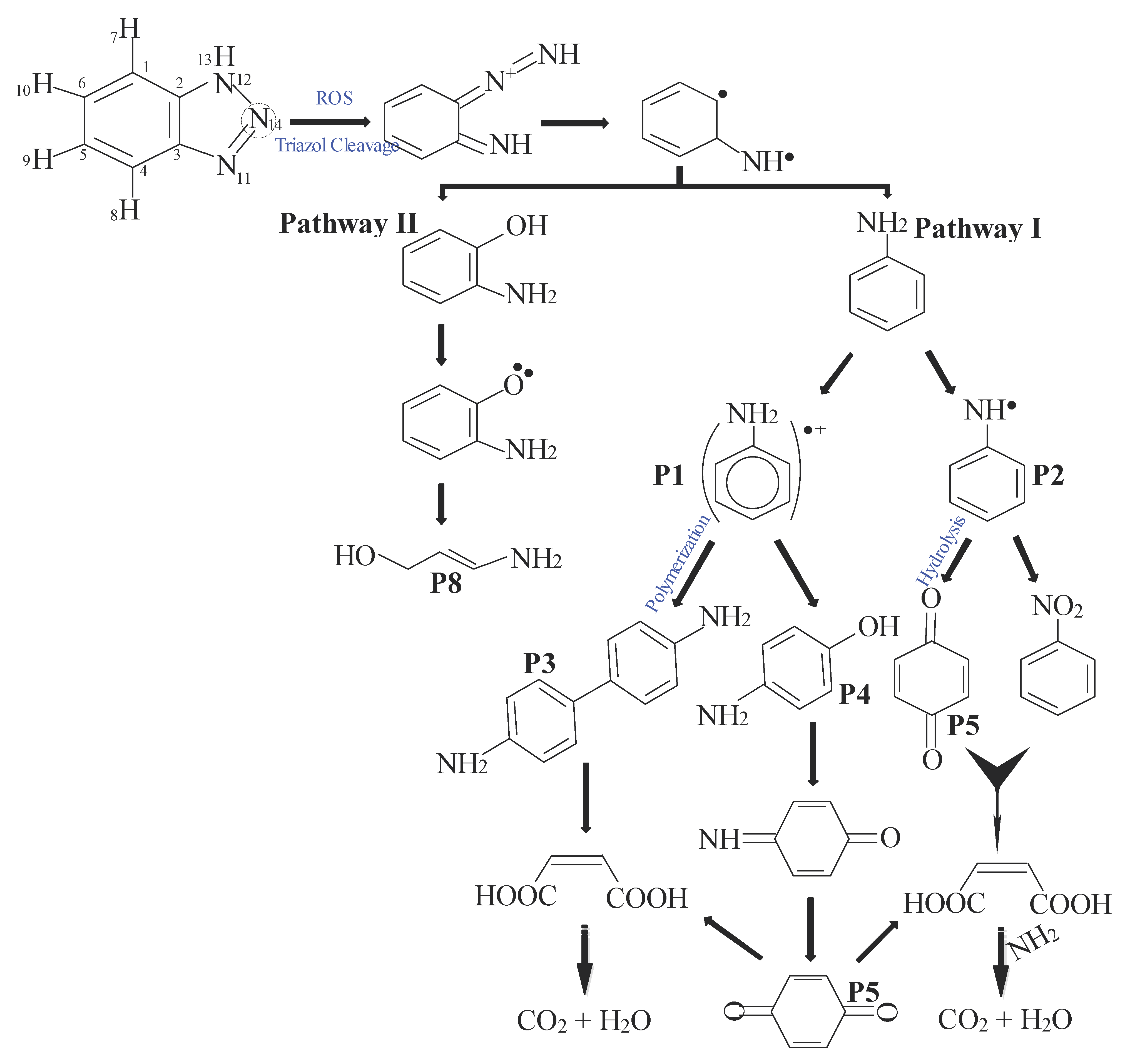 Toxics 11 00429 g008