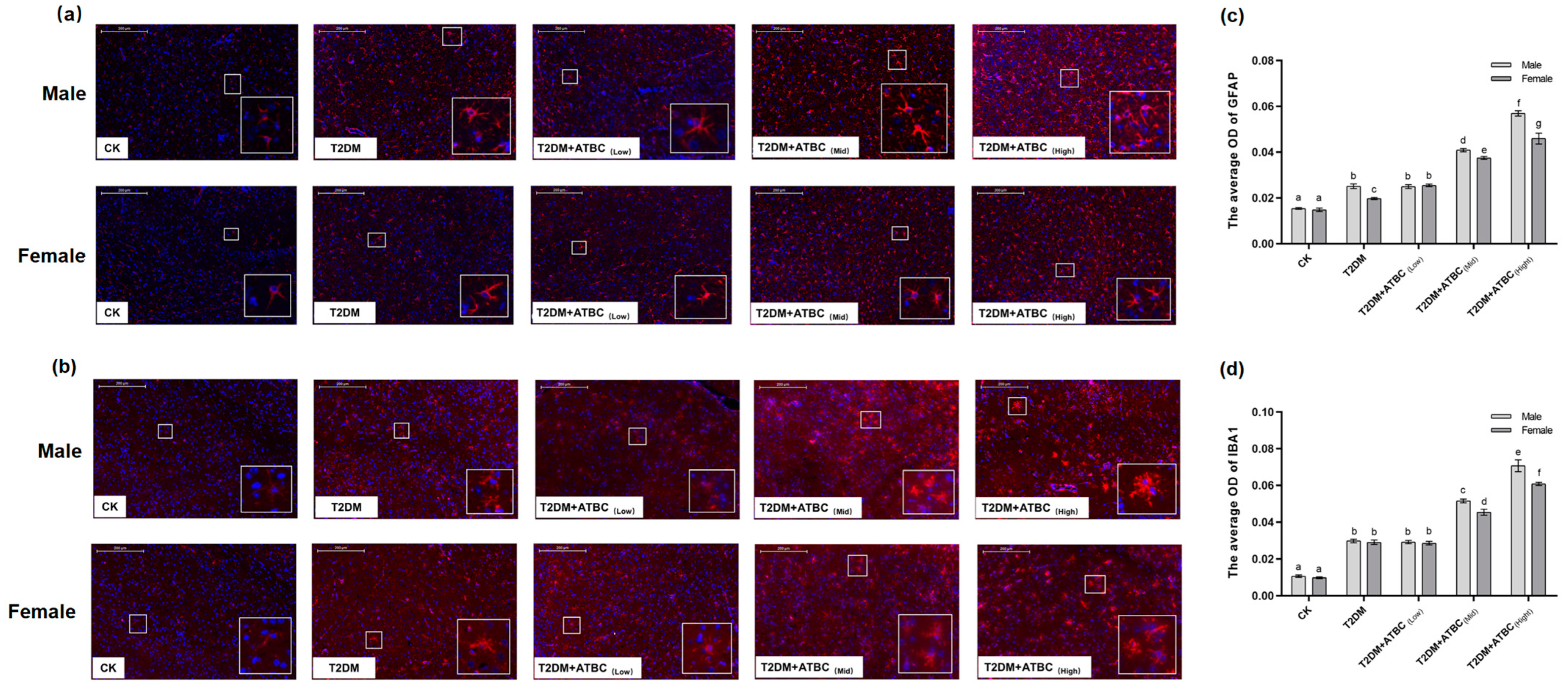 Toxics 11 00877 g008