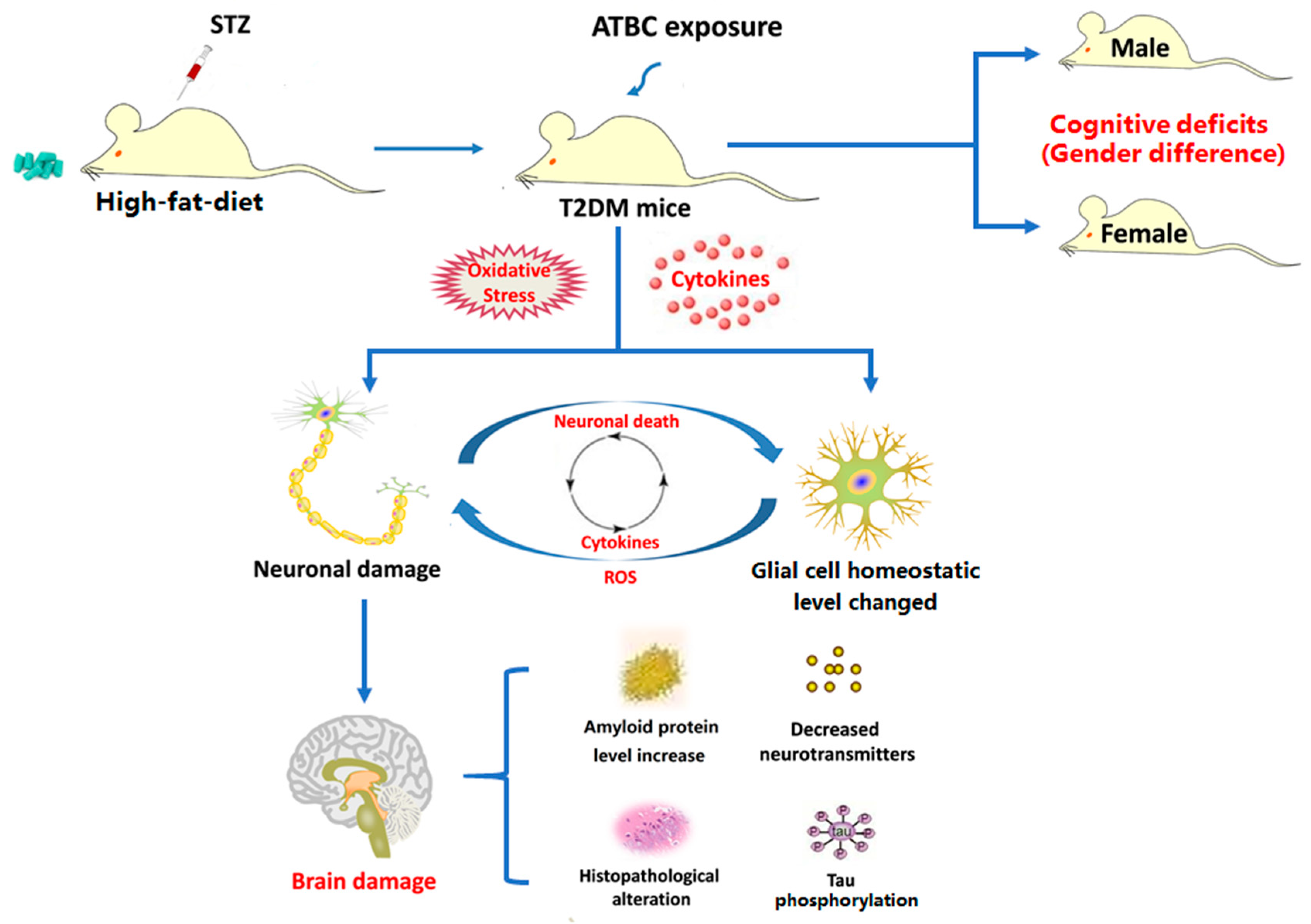 Toxics 11 00877 g009