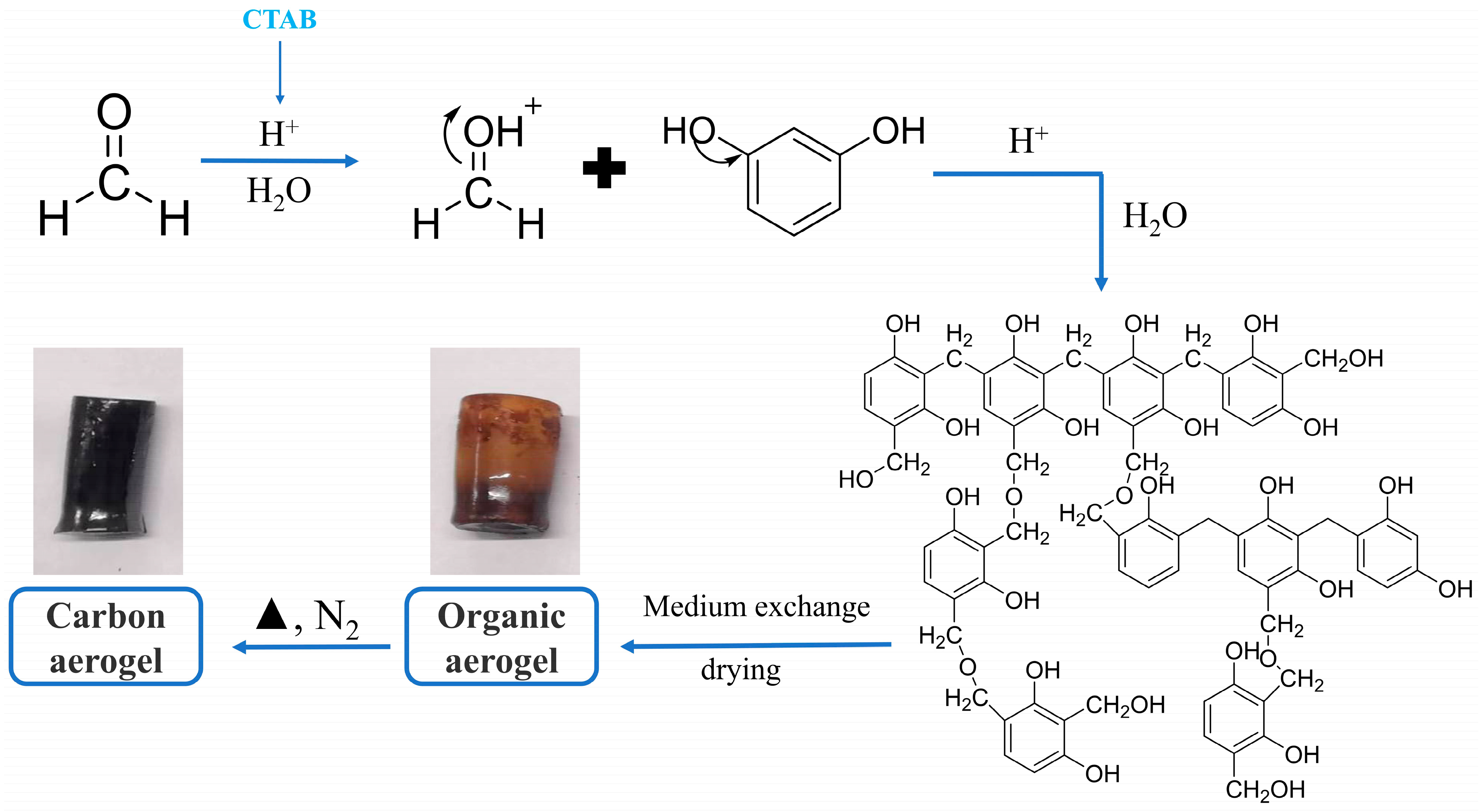 Toxics 12 00145 g001