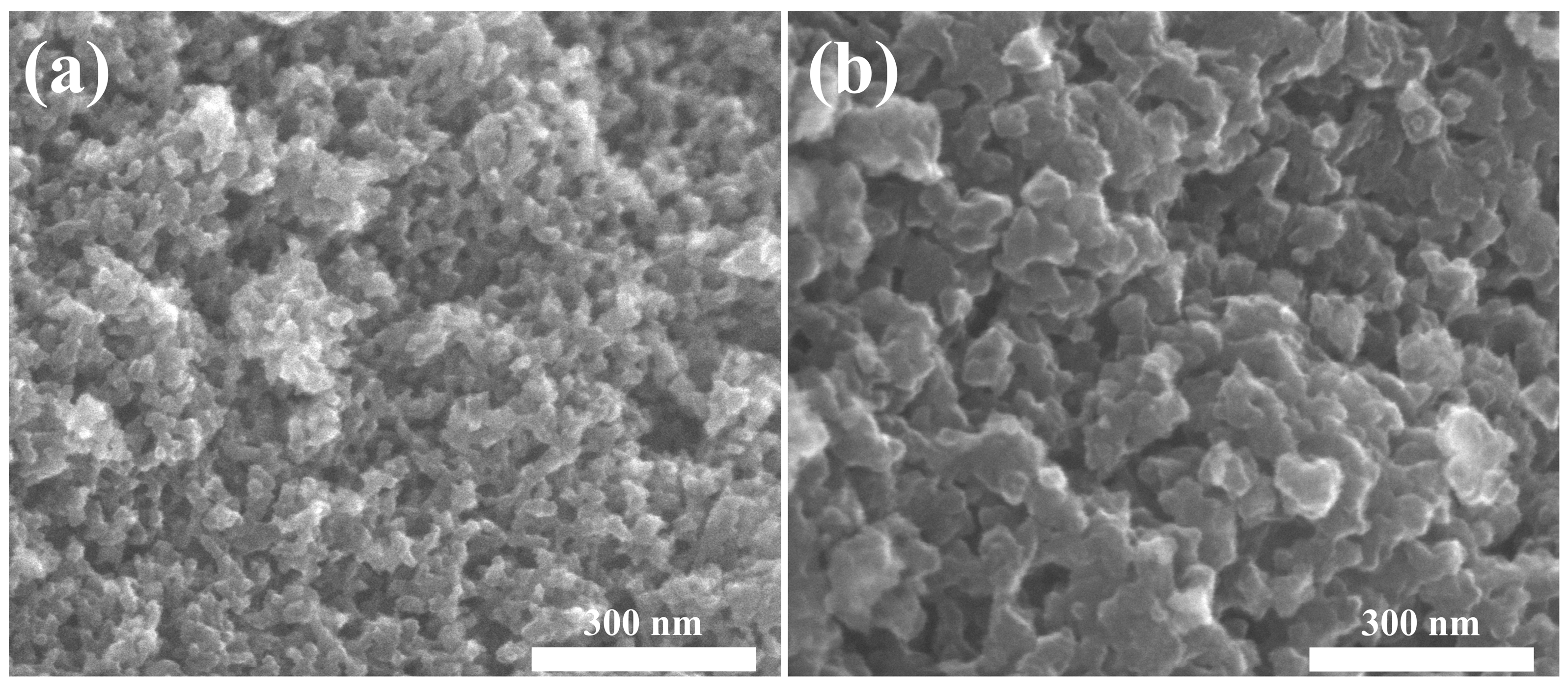 Toxics 12 00145 g005