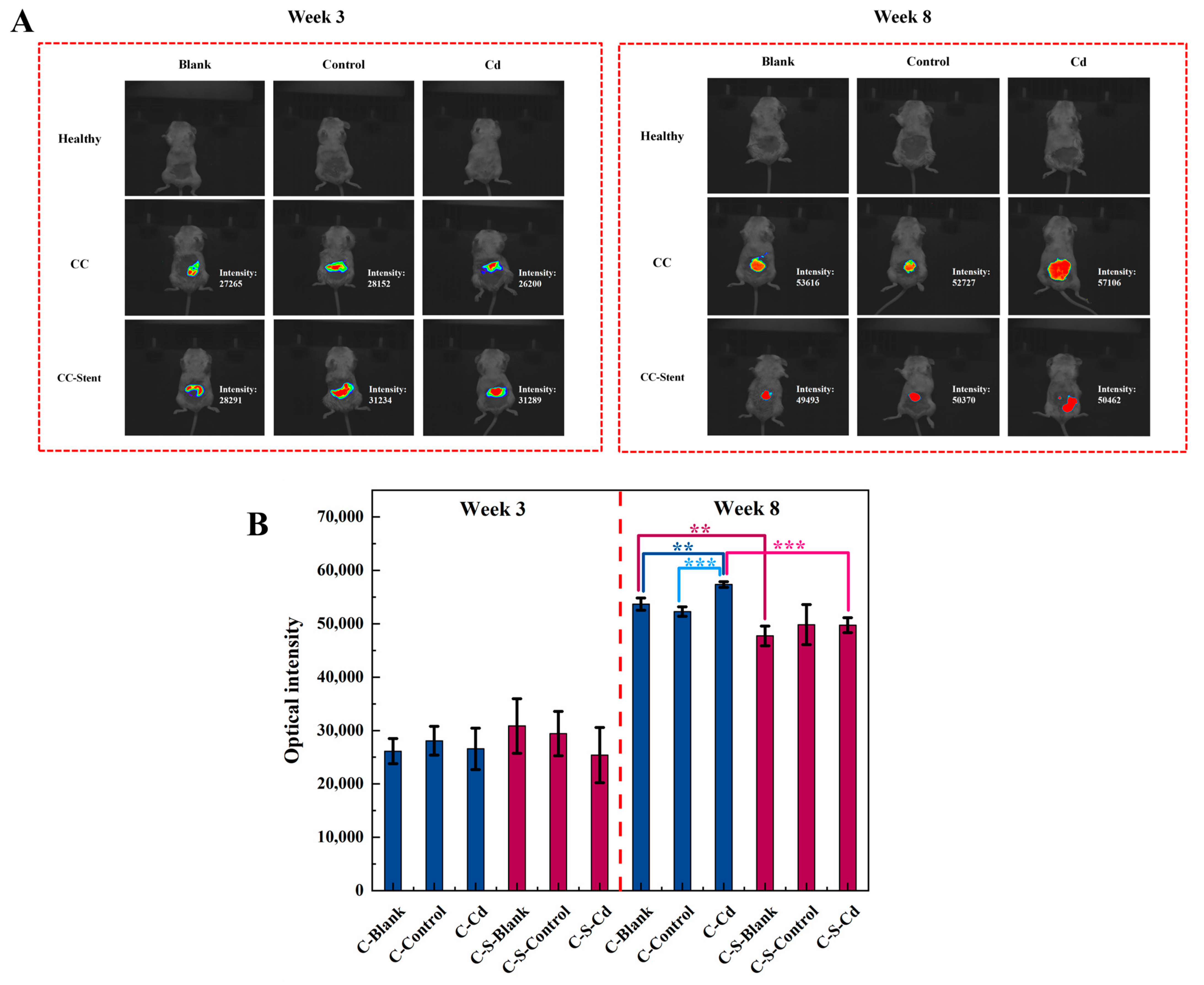 Toxics 12 00215 g003 Toxics 12 00215 g003
