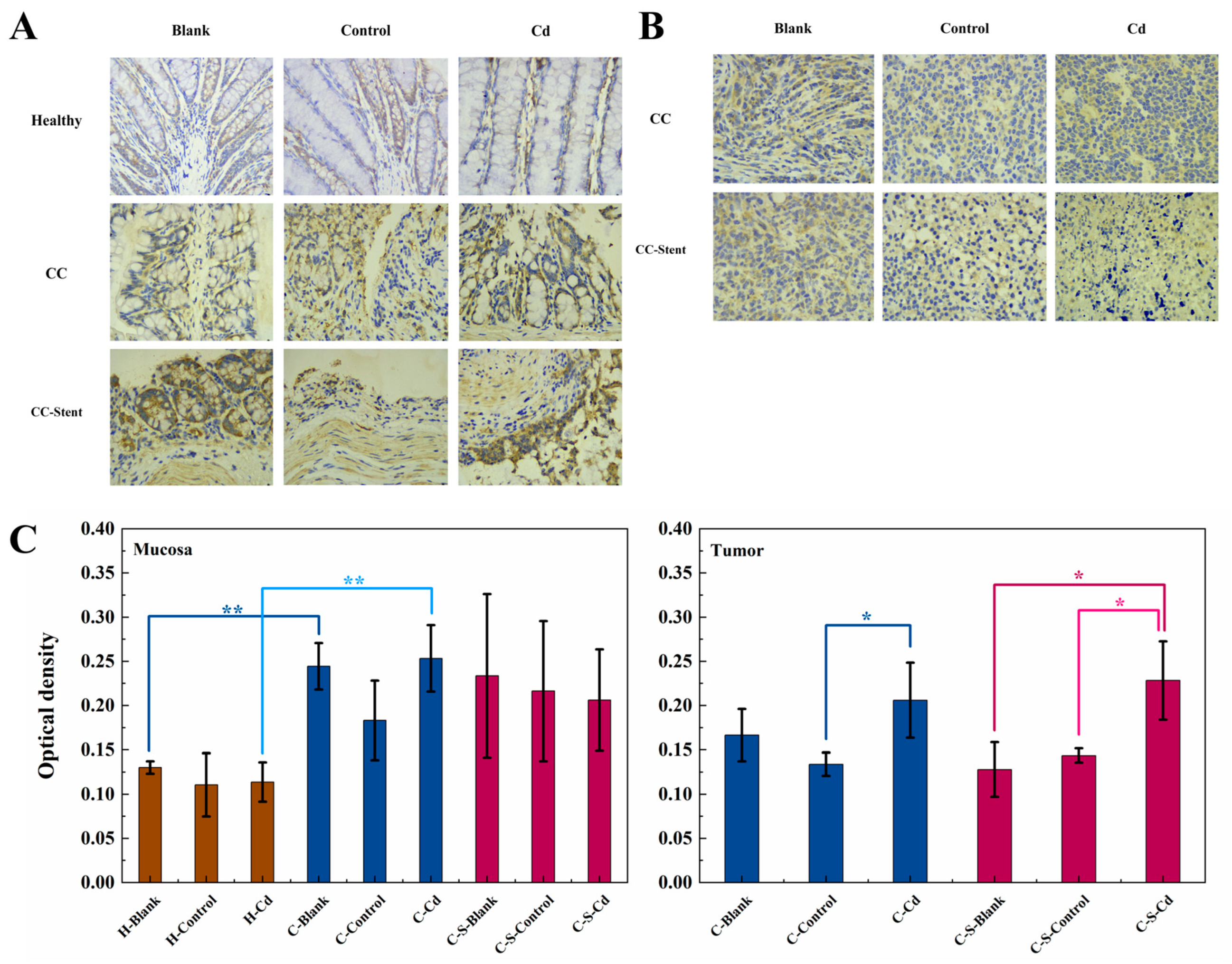 Toxics 12 00215 g005 Toxics 12 00215 g005