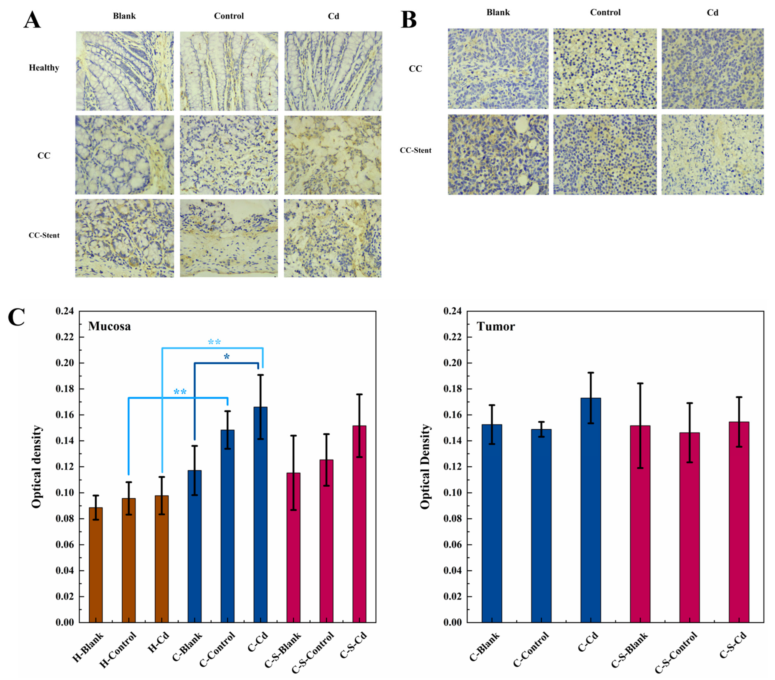 Toxics 12 00215 g007 Toxics 12 00215 g007