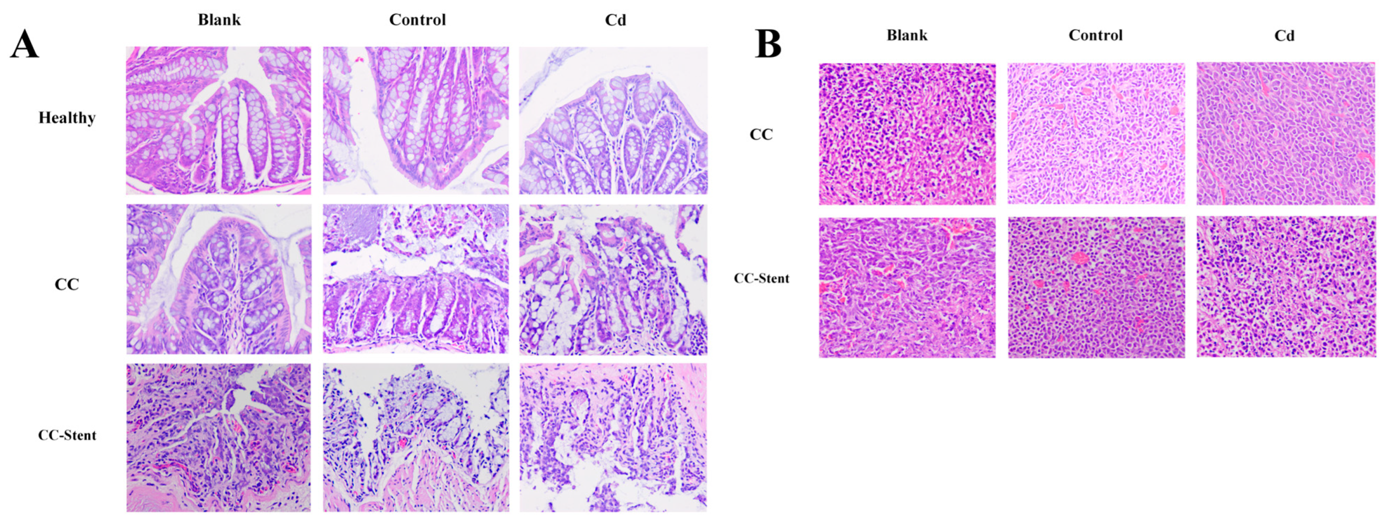 Toxics 12 00215 g008 Toxics 12 00215 g008