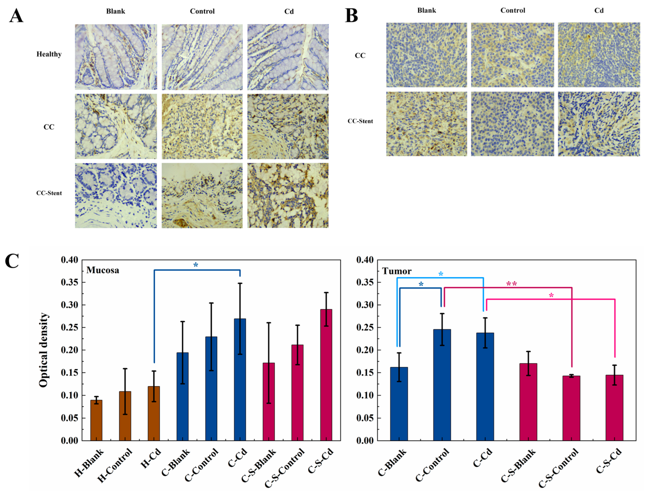 Toxics 12 00215 g009 Toxics 12 00215 g009
