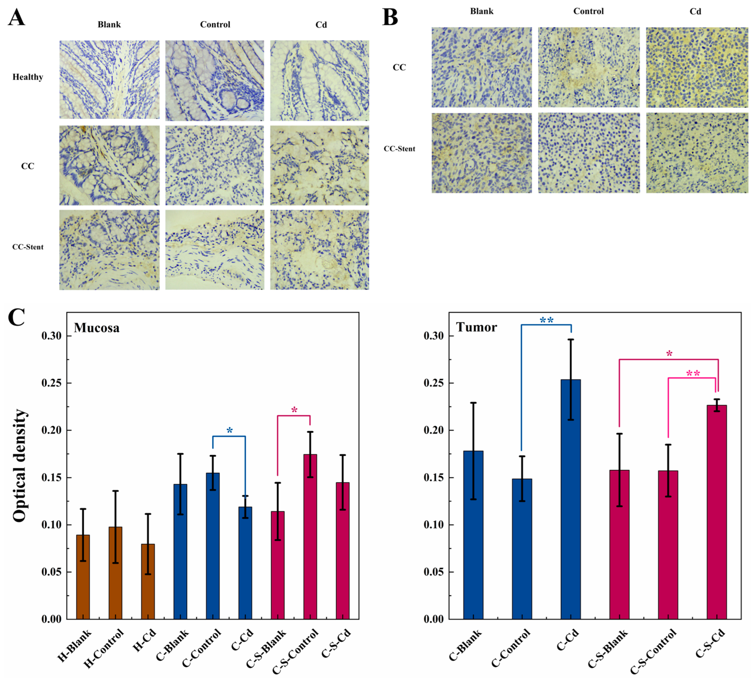Toxics 12 00215 g011 Toxics 12 00215 g011