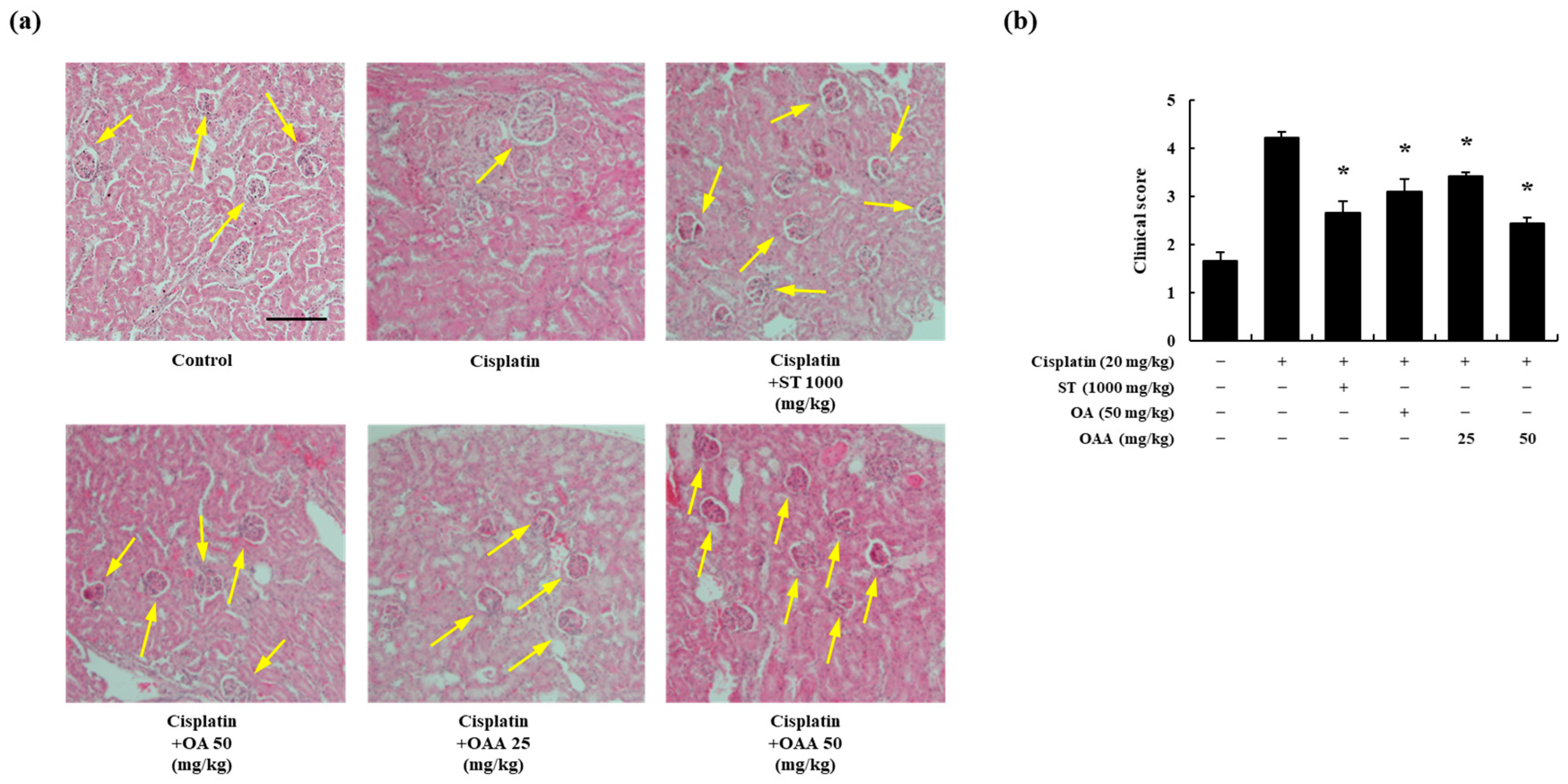 Toxics 12 00301 g003