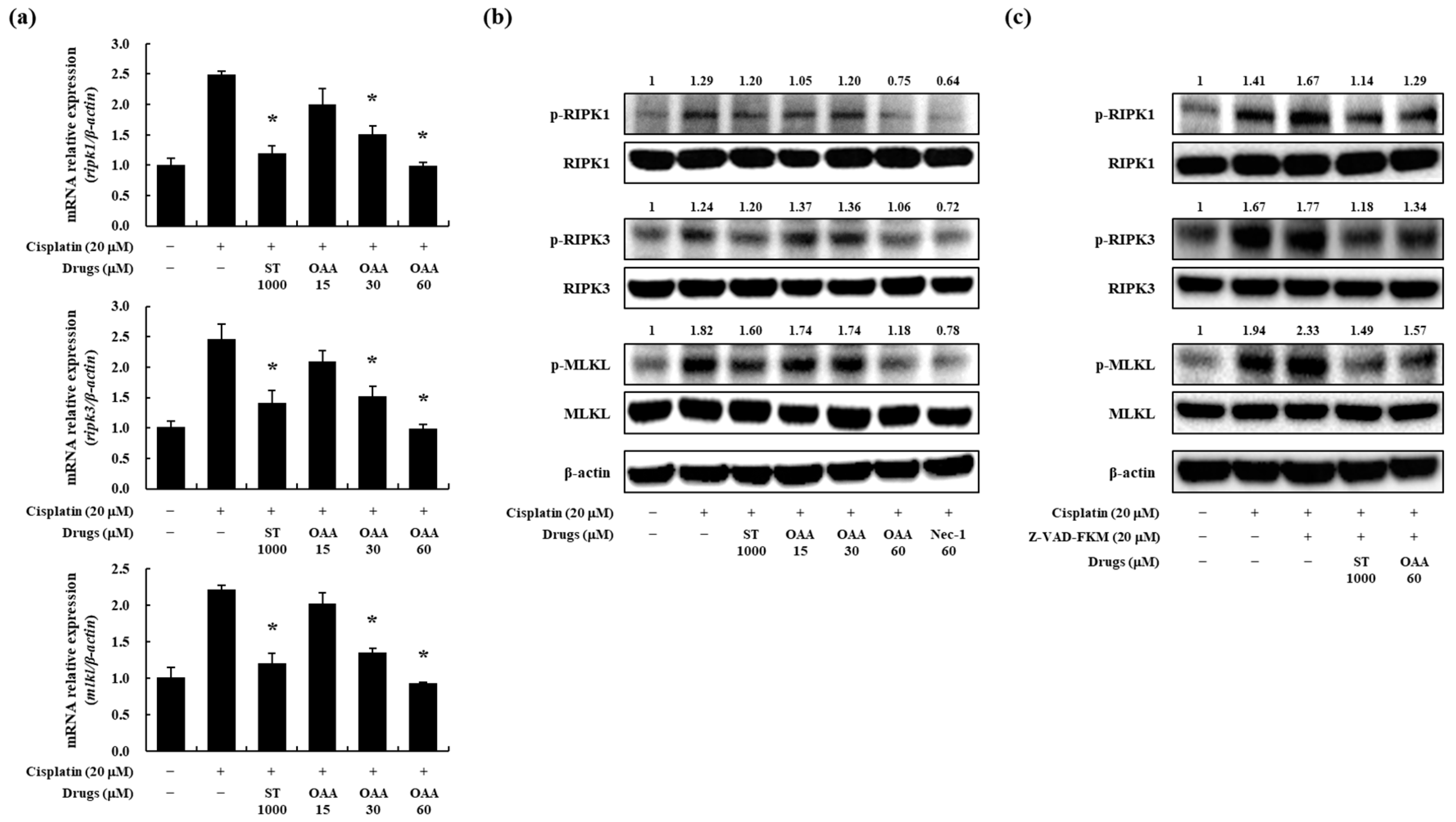 Toxics 12 00301 g005