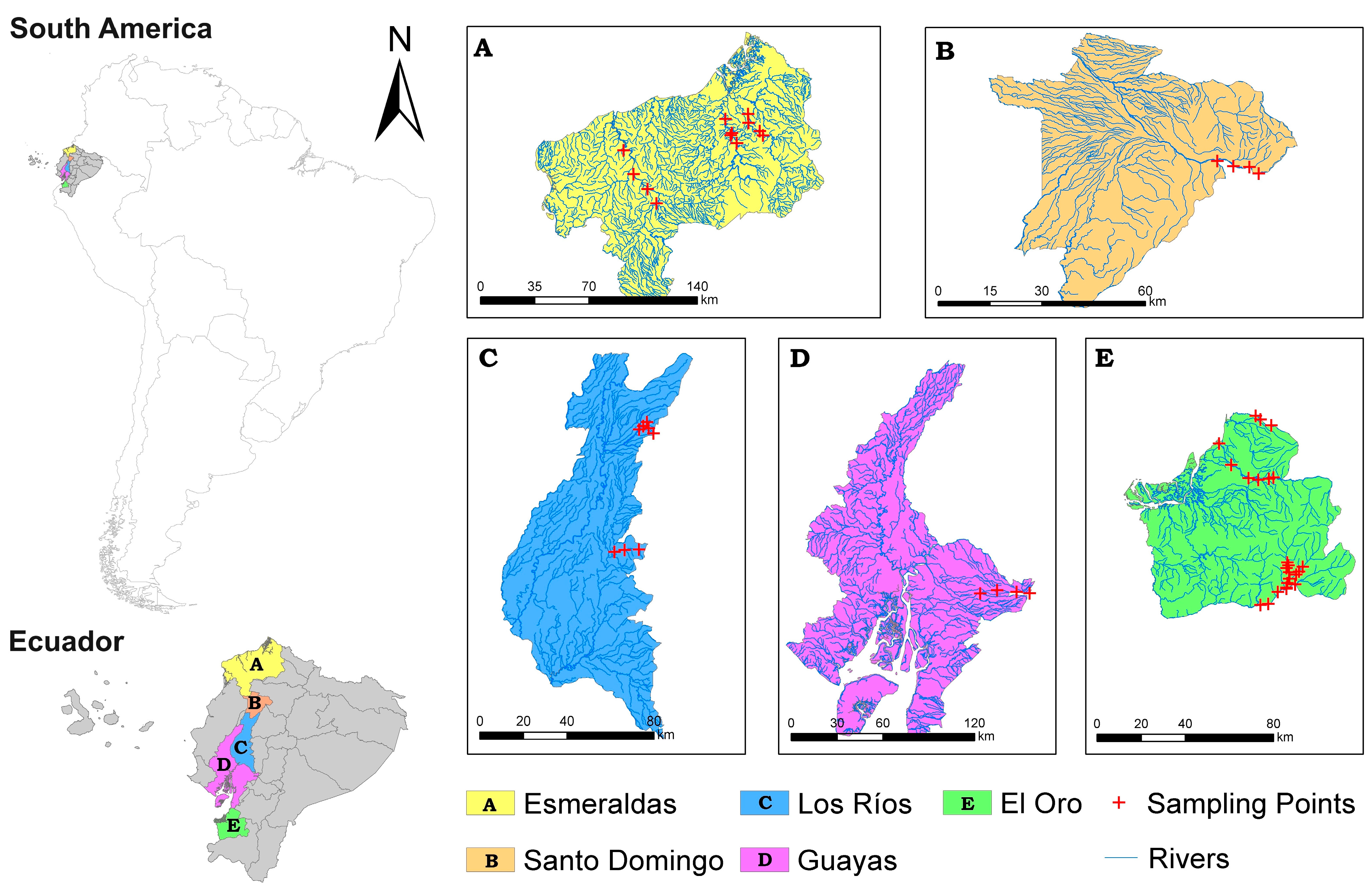 Toxics 12 00323 g001