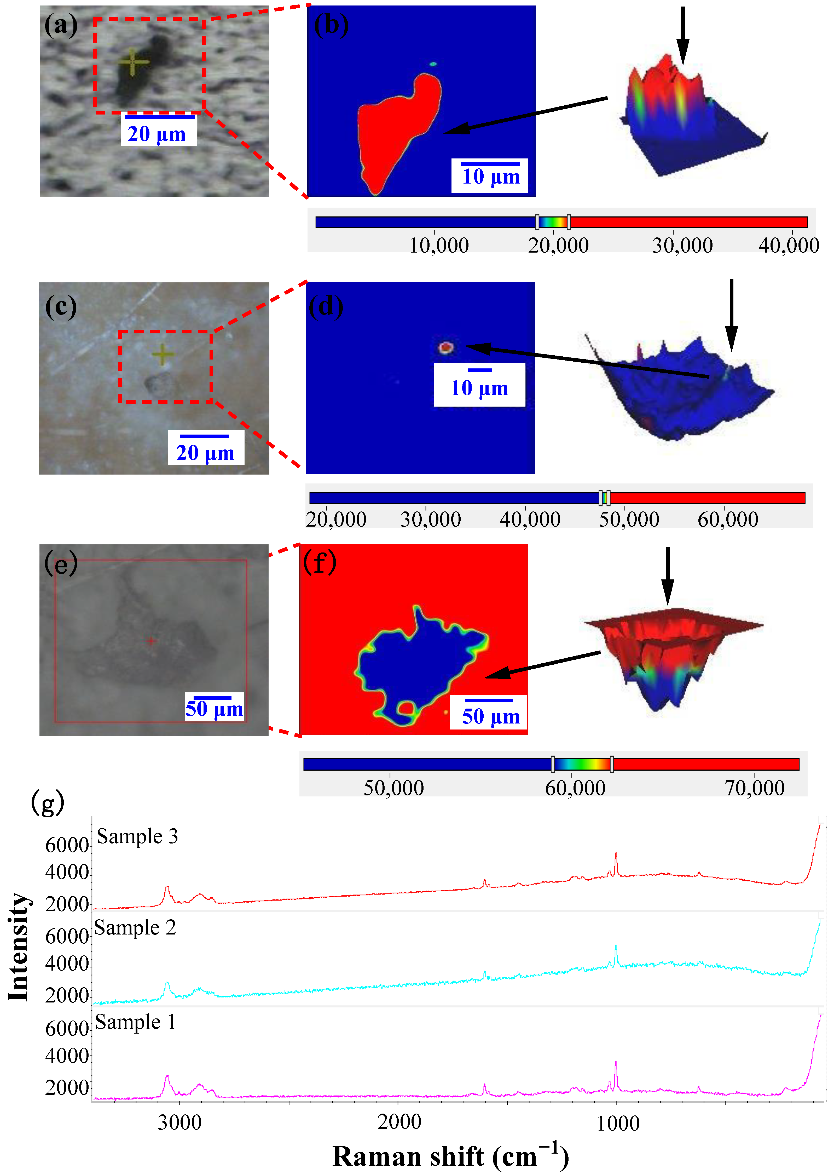 Toxics 12 00330 g007