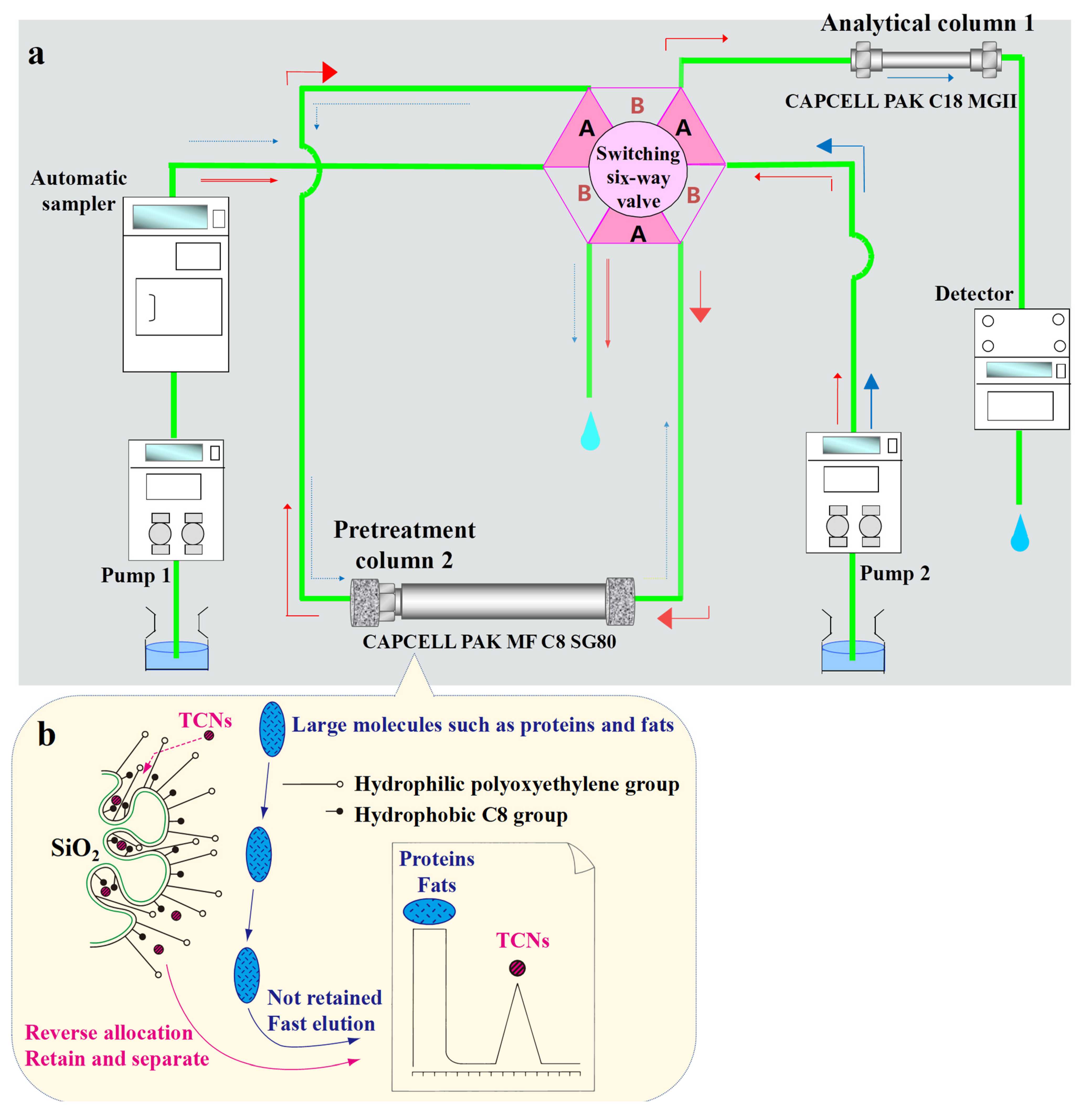 Toxics 12 00336 g001