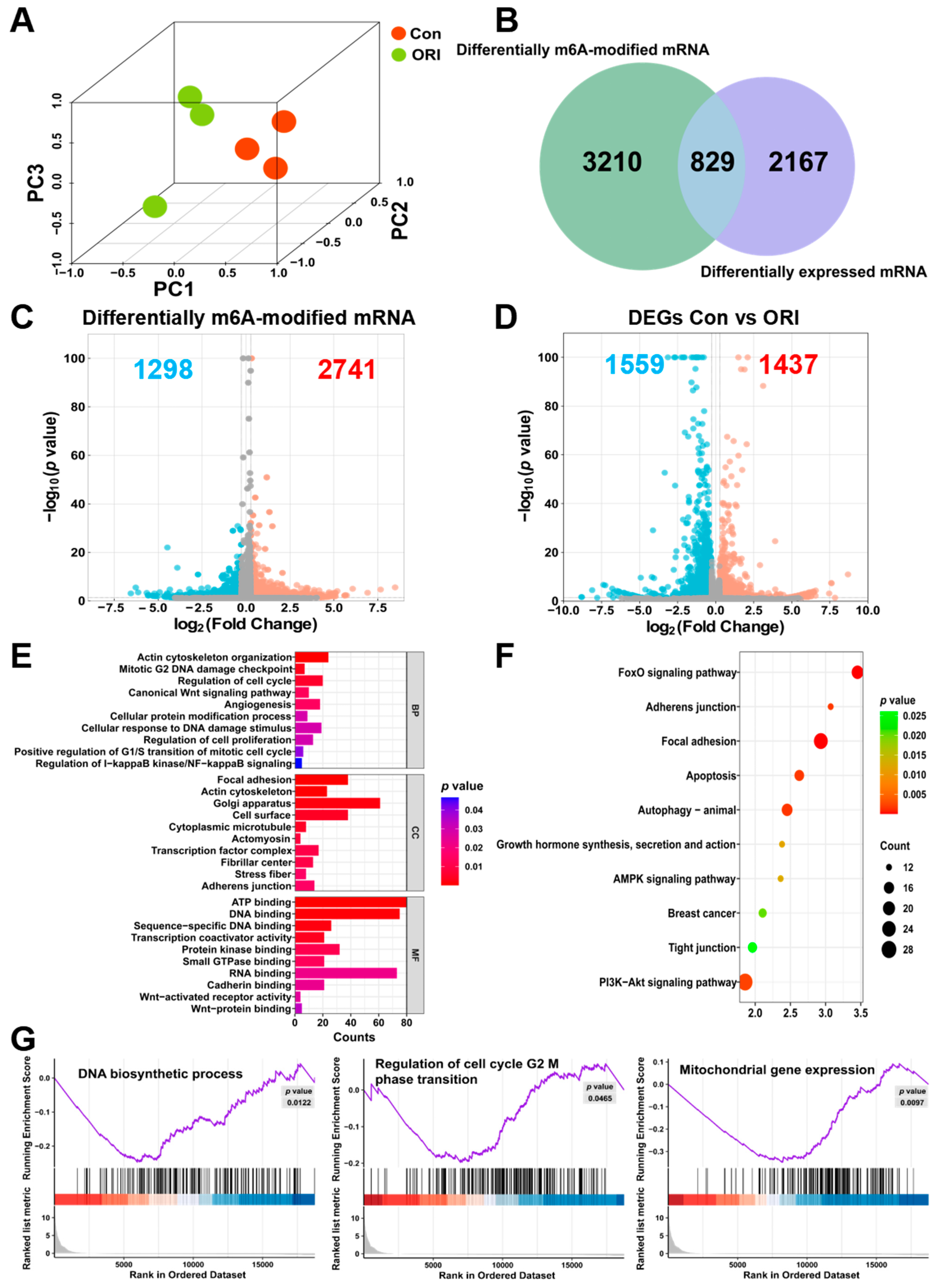 Toxics 12 00339 g003