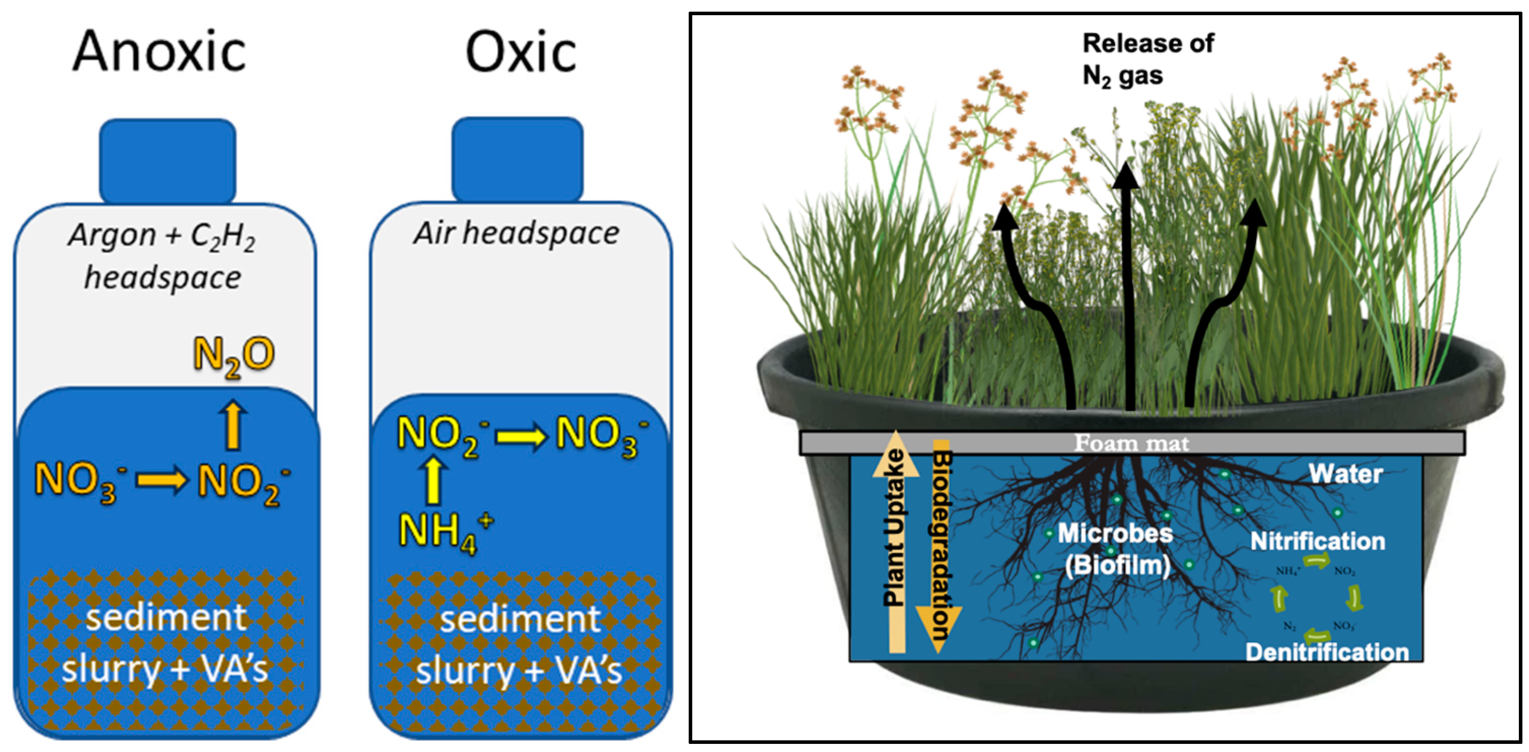 Toxics 12 00346 g001