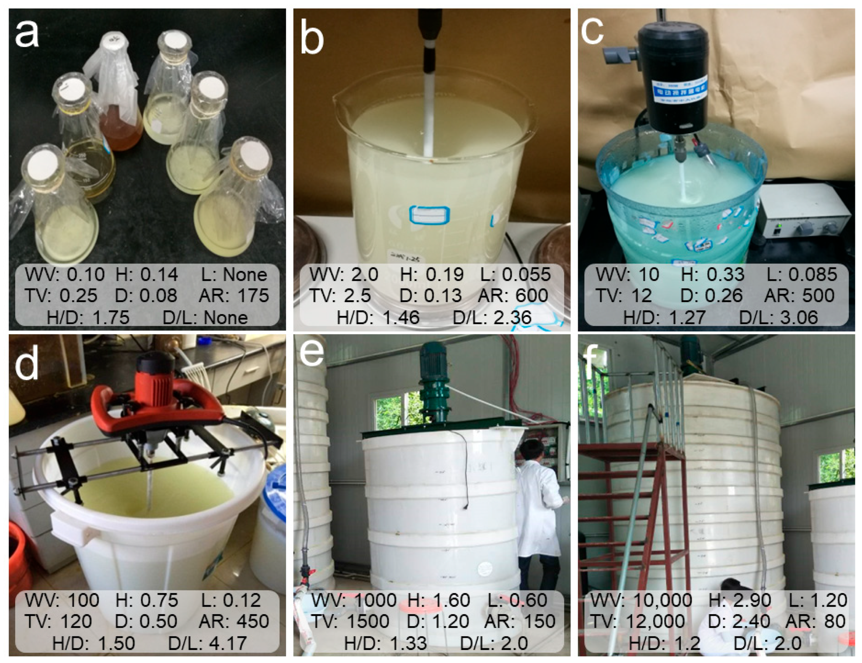 Toxics 12 00362 g001