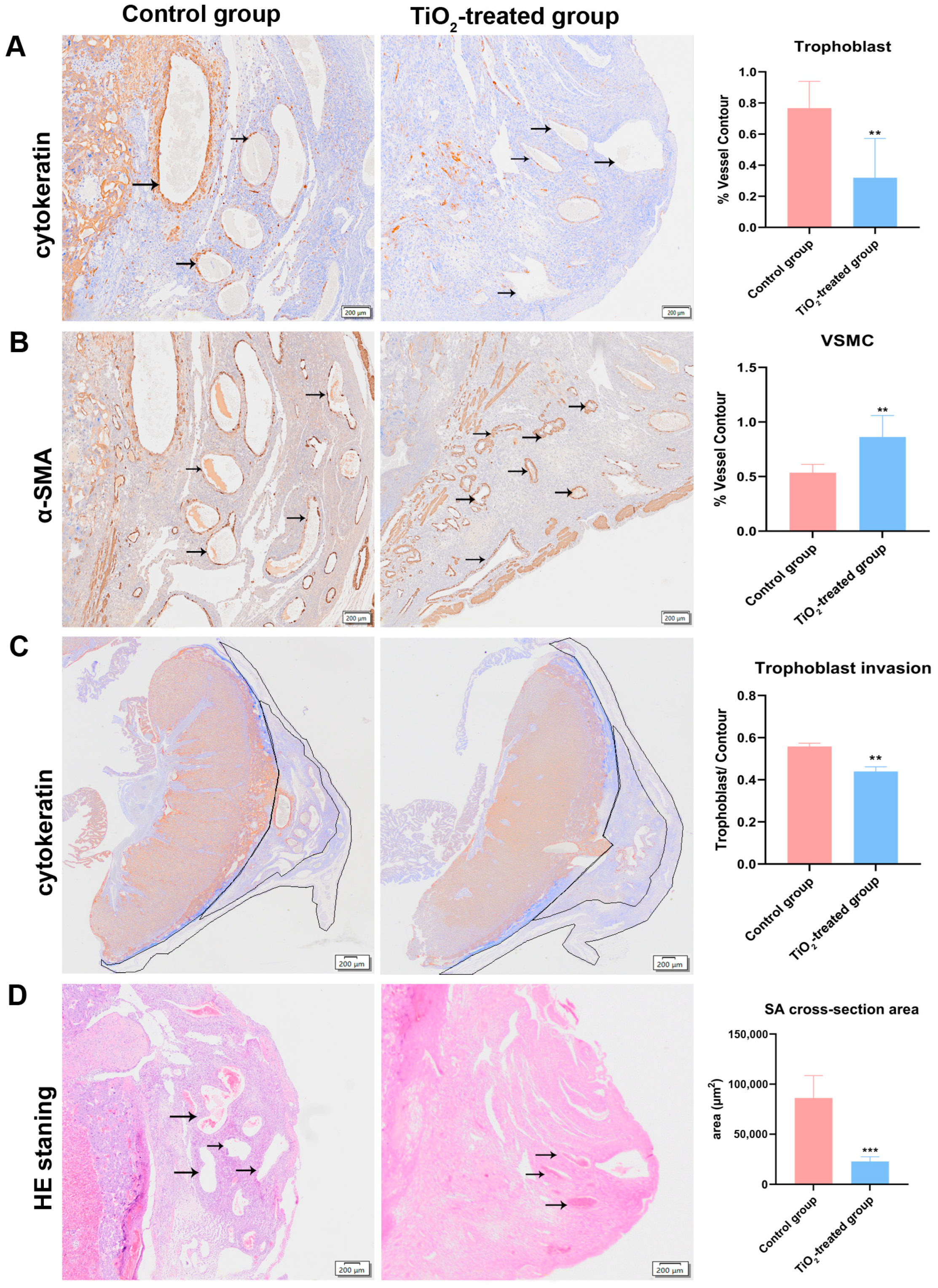 Toxics 12 00367 g005