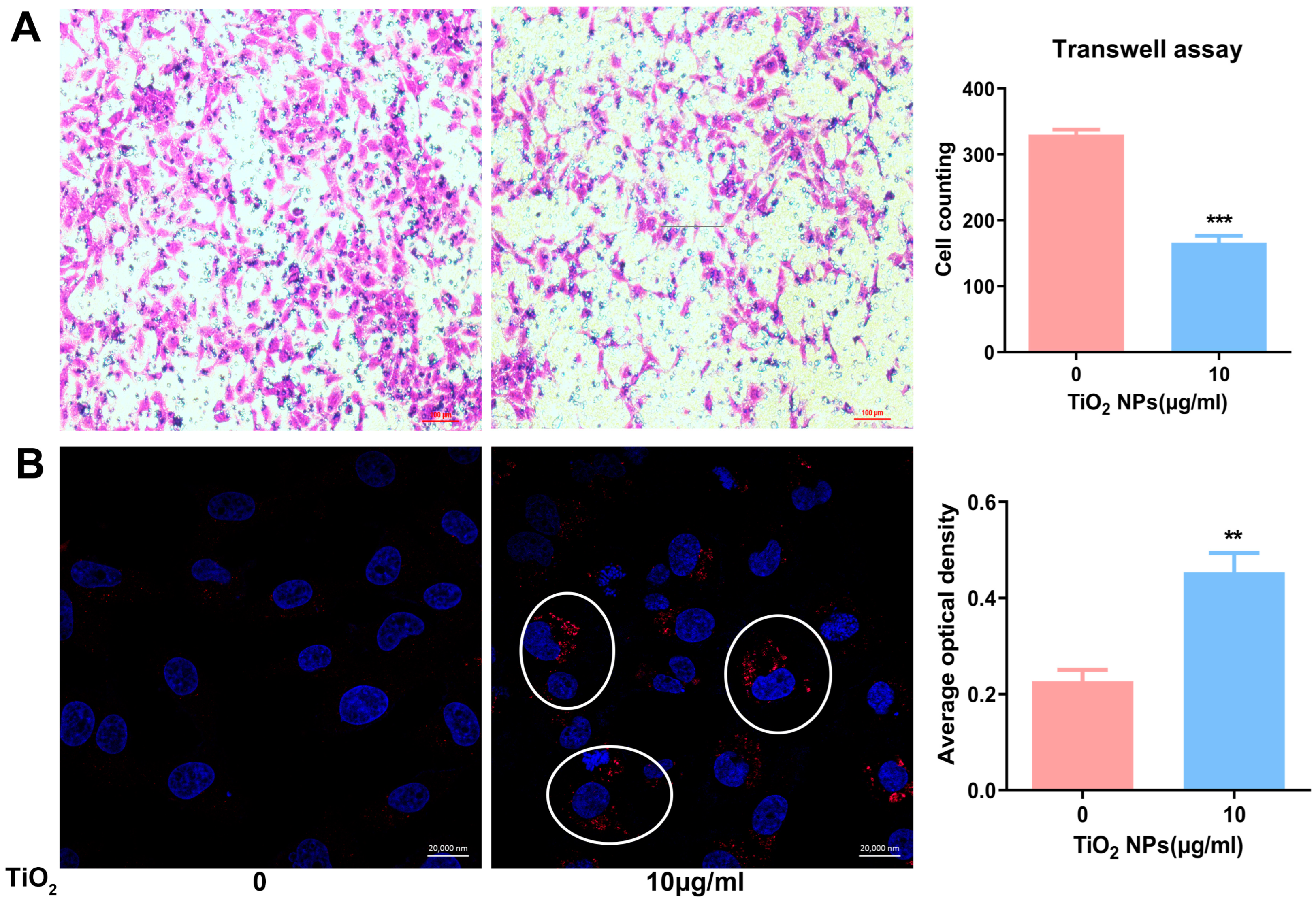Toxics 12 00367 g007