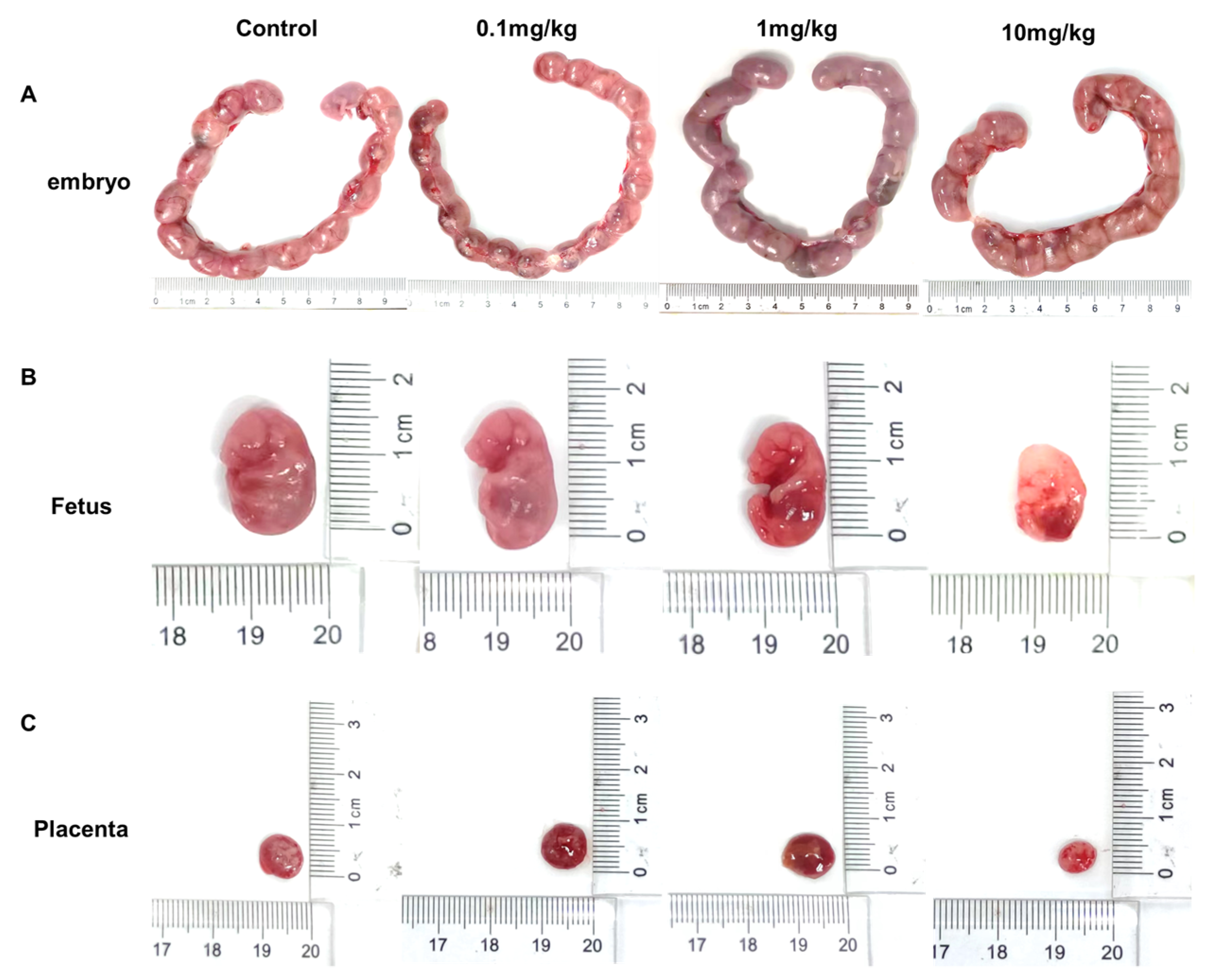 Toxics 12 00370 g003