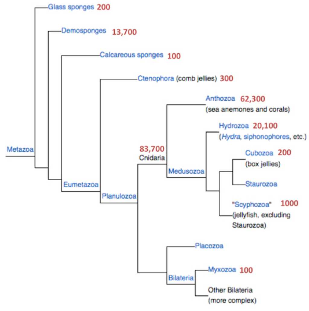 Toxins 04 01367 g001 1024