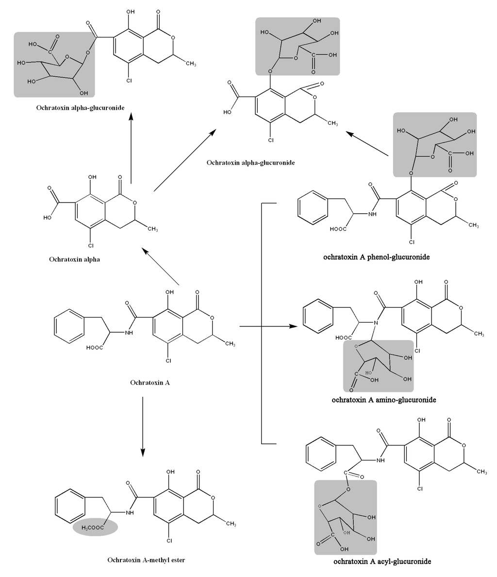 Toxins 05 02671 g005 1024
