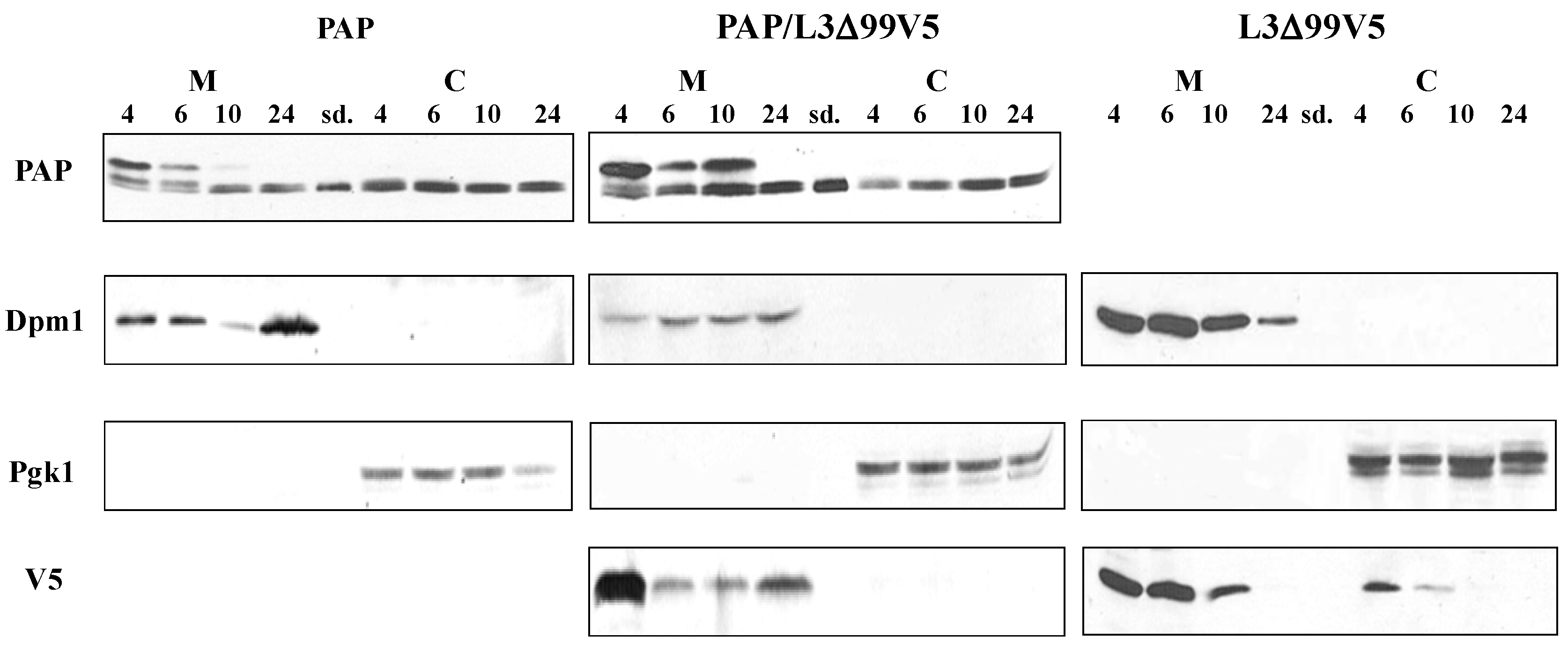 Toxins 06 01349 g008