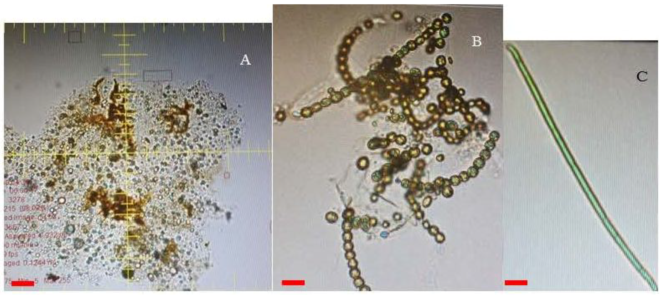 Toxins 10 00269 g004 Toxins 10 00269 g004