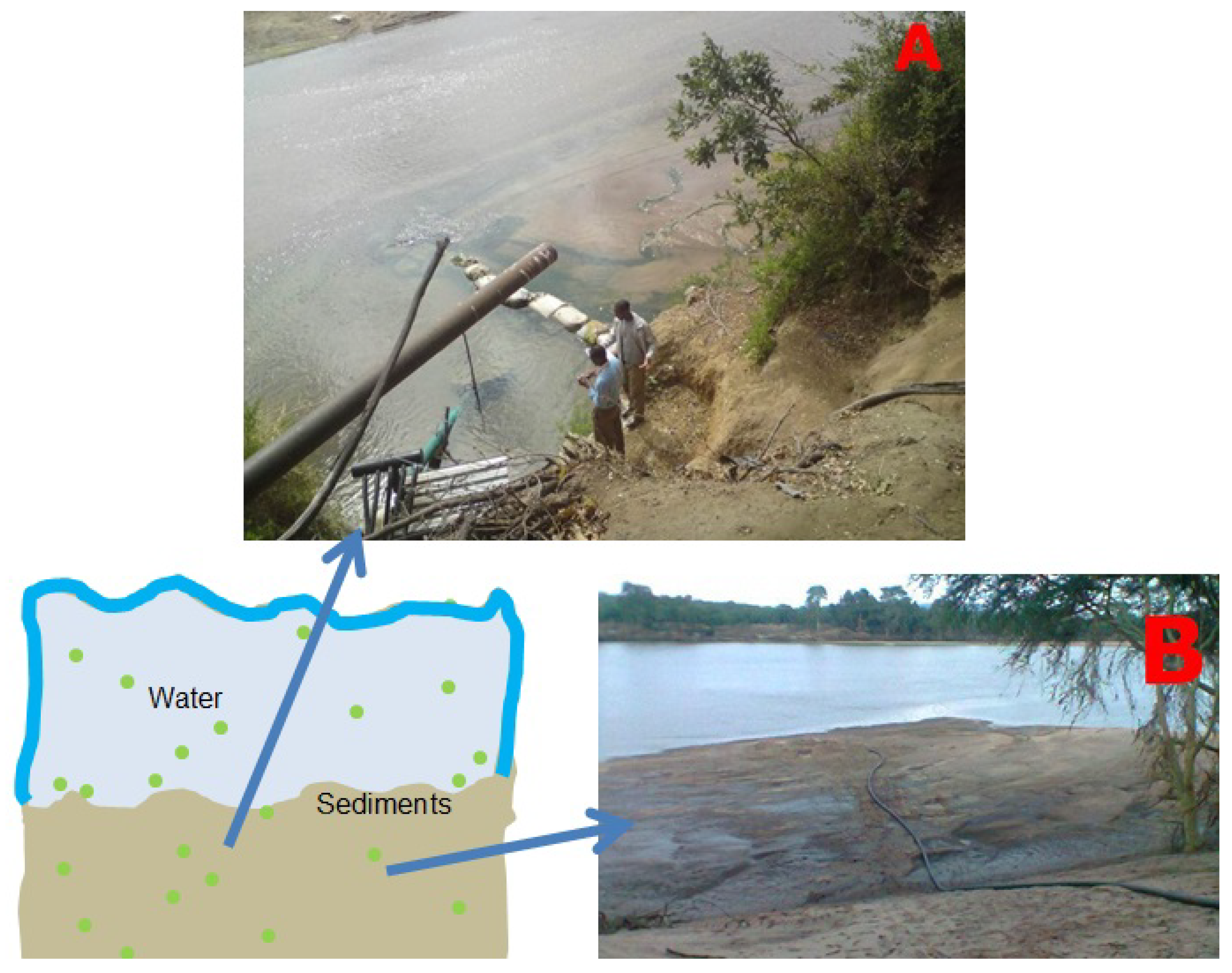 Toxins 10 00269 g007 Toxins 10 00269 g007