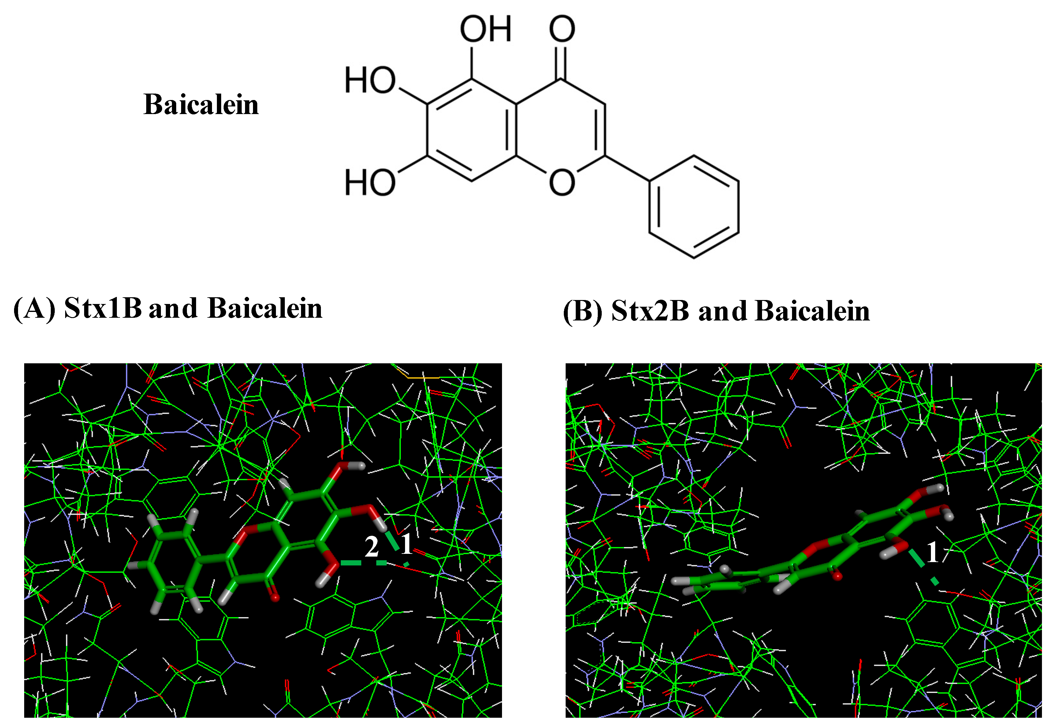 Toxins 11 00505 g005 Toxins 11 00505 g005