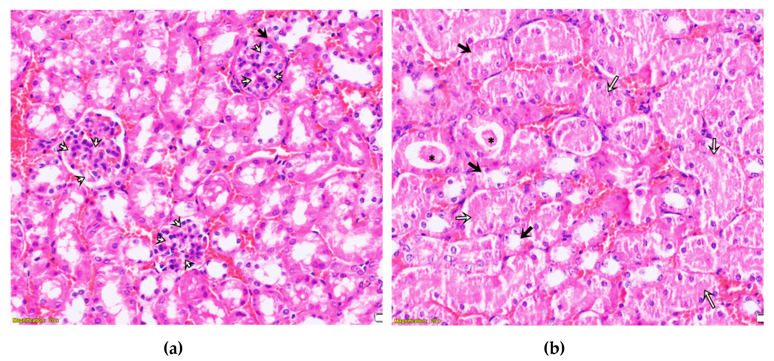 Toxins 12 00088 g0a3