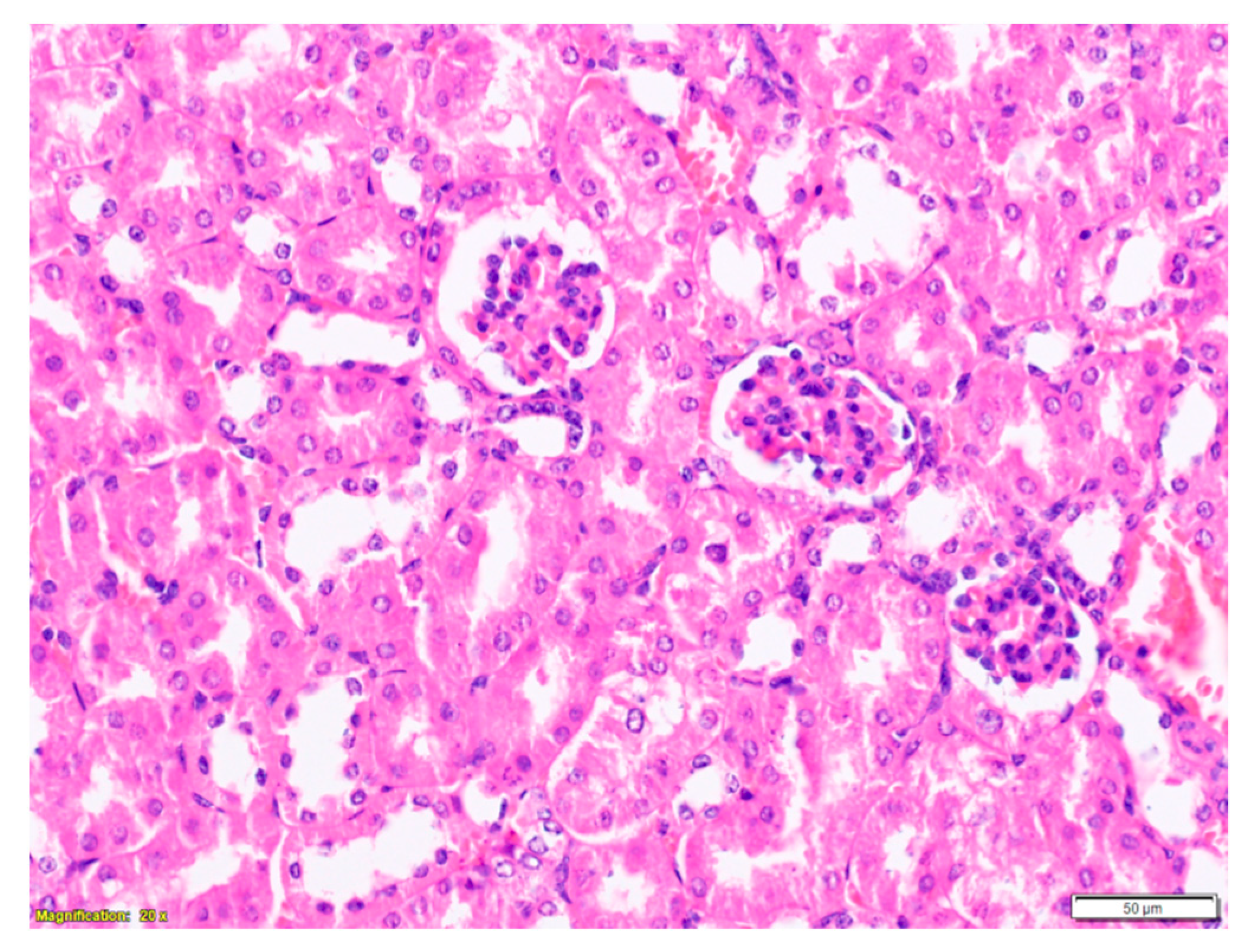 Toxins 12 00088 g0a4