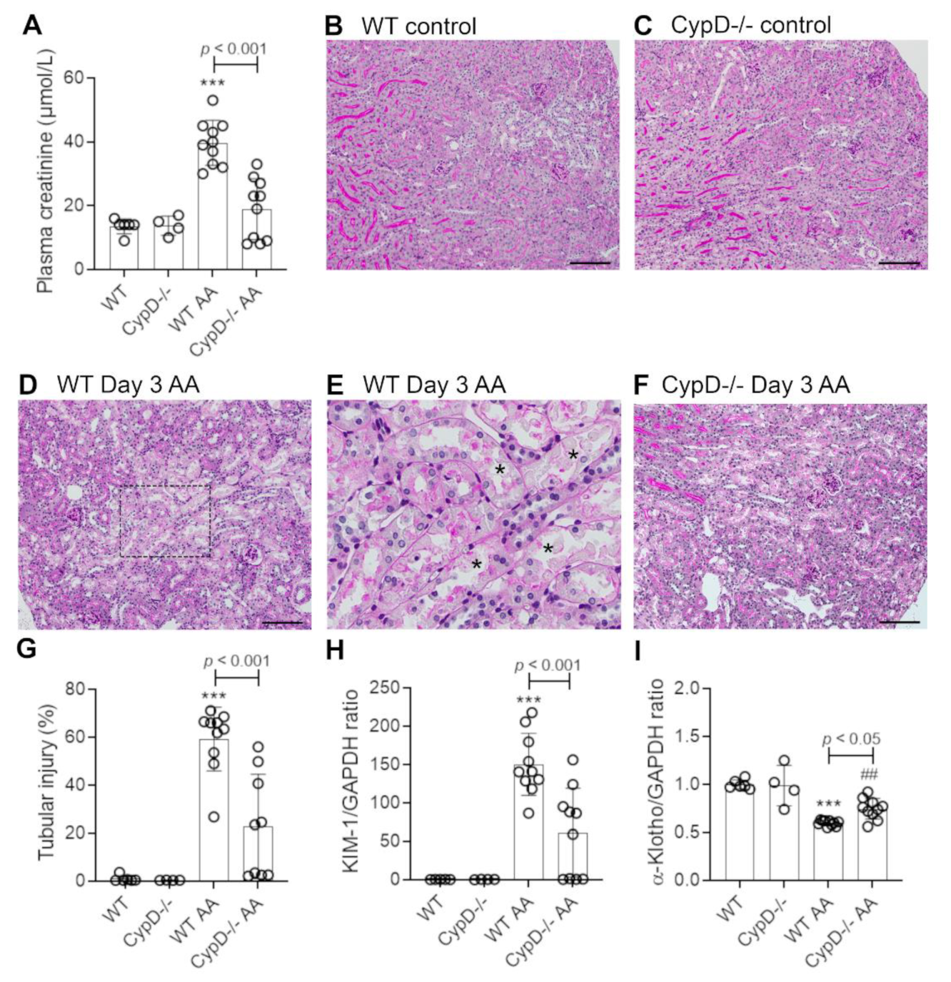 Toxins 13 00700 g001