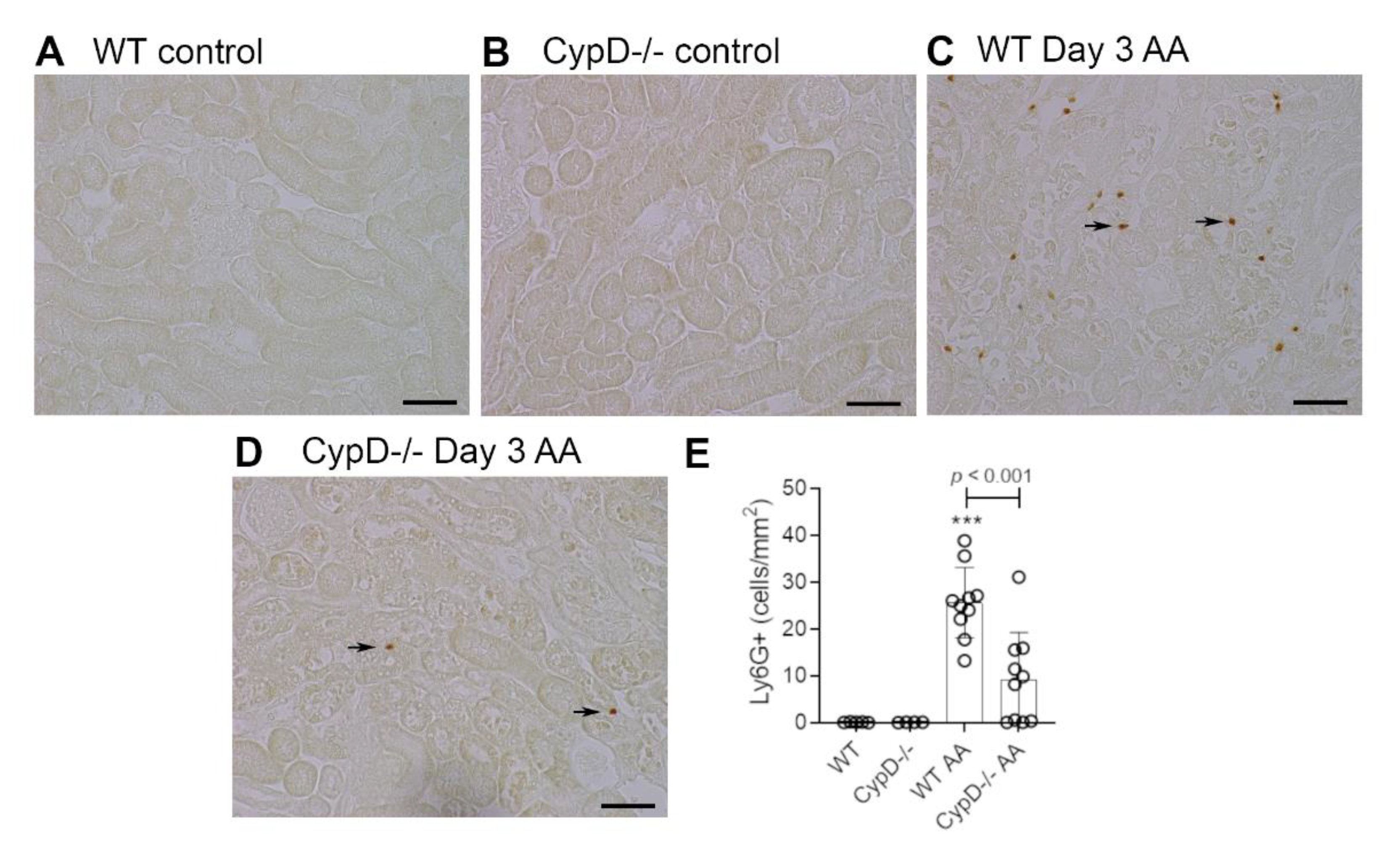 Toxins 13 00700 g003