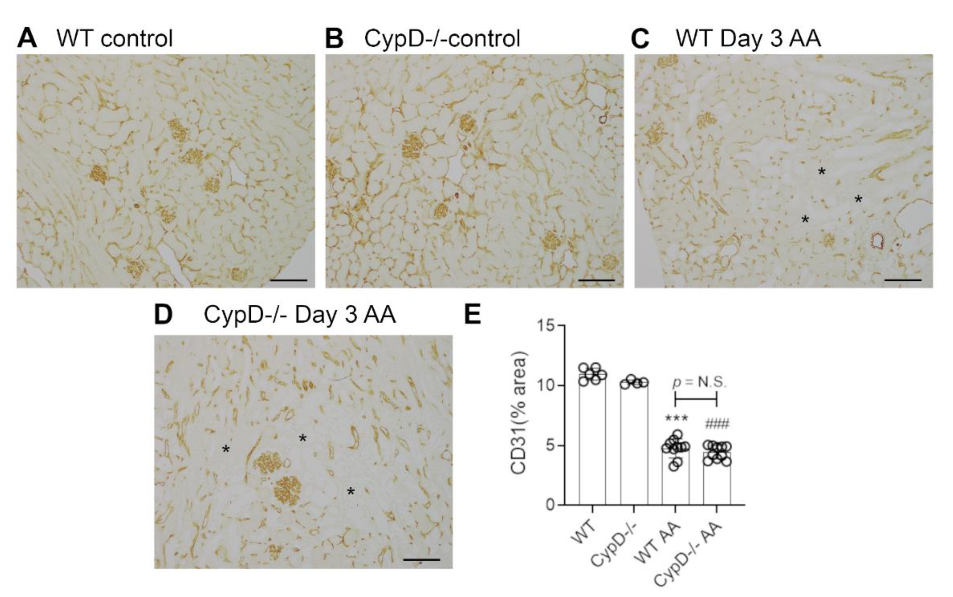 Toxins 13 00700 g008