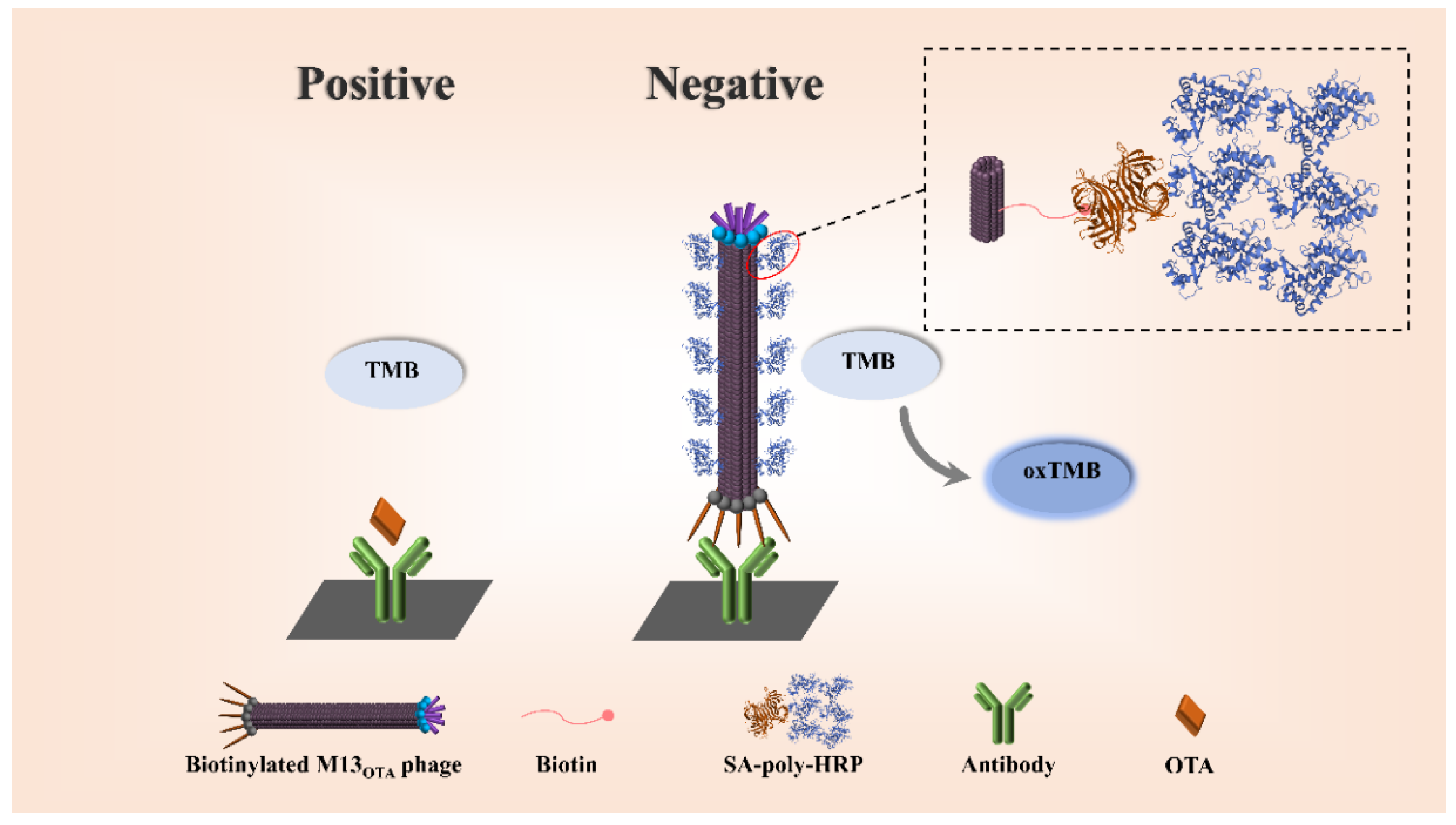 Toxins 13 00781 sch001
