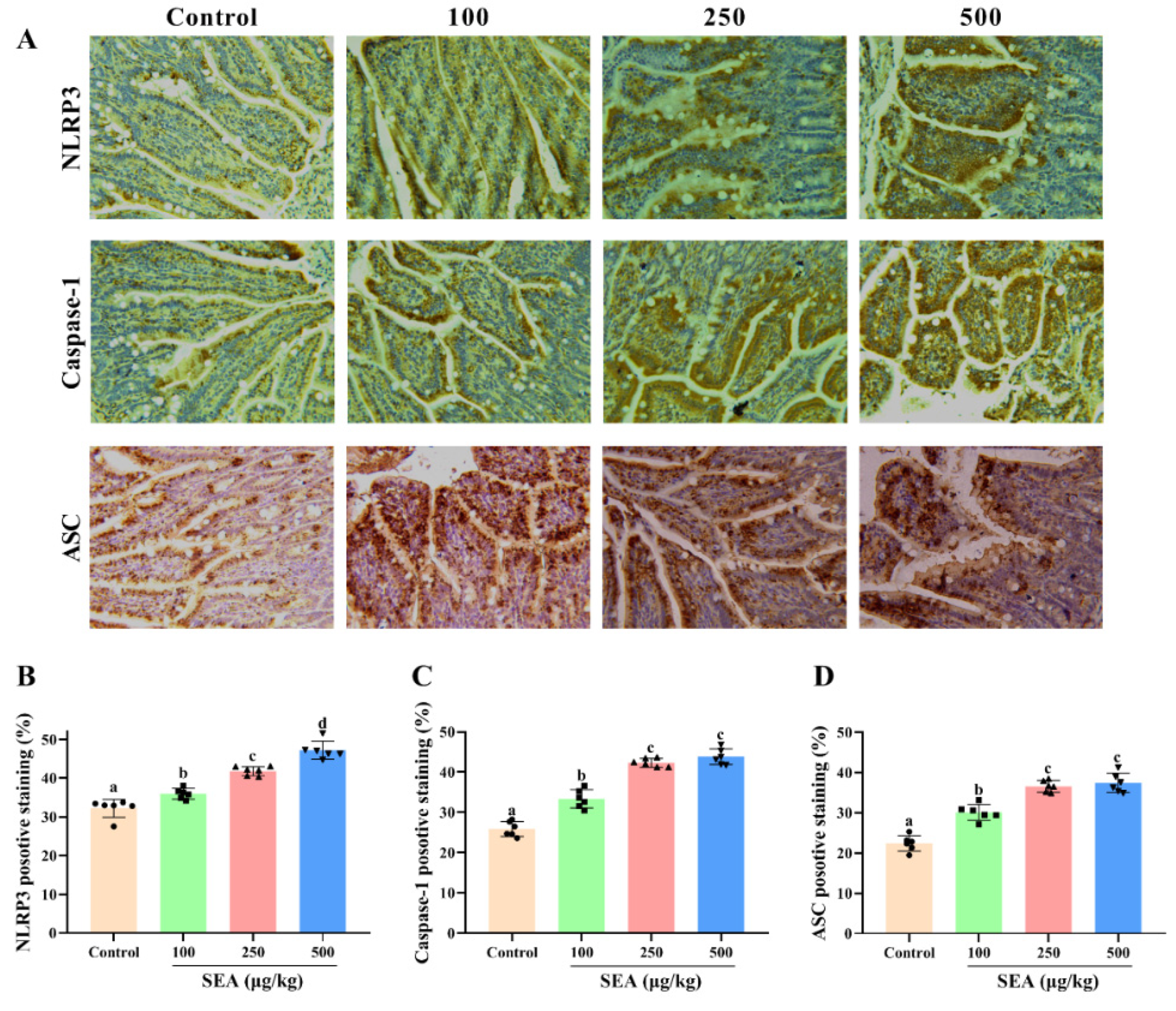 Toxins 14 00029 g004