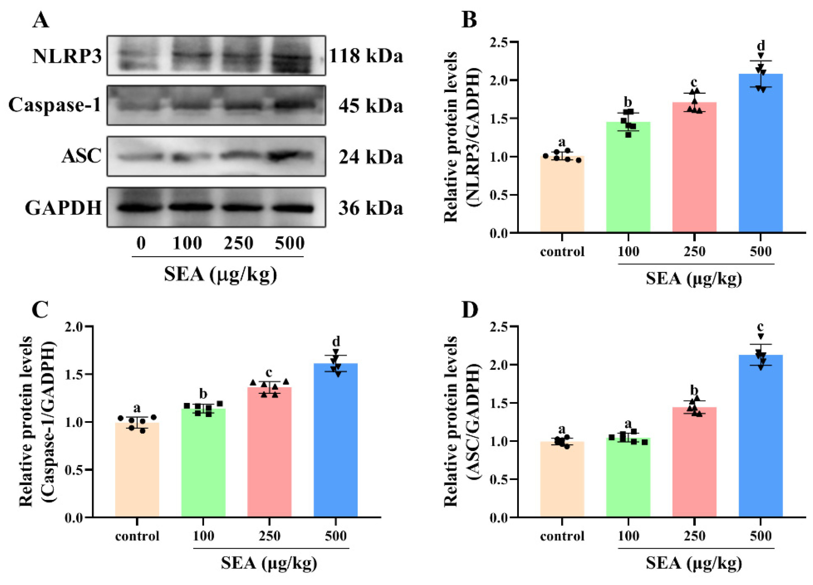 Toxins 14 00029 g005