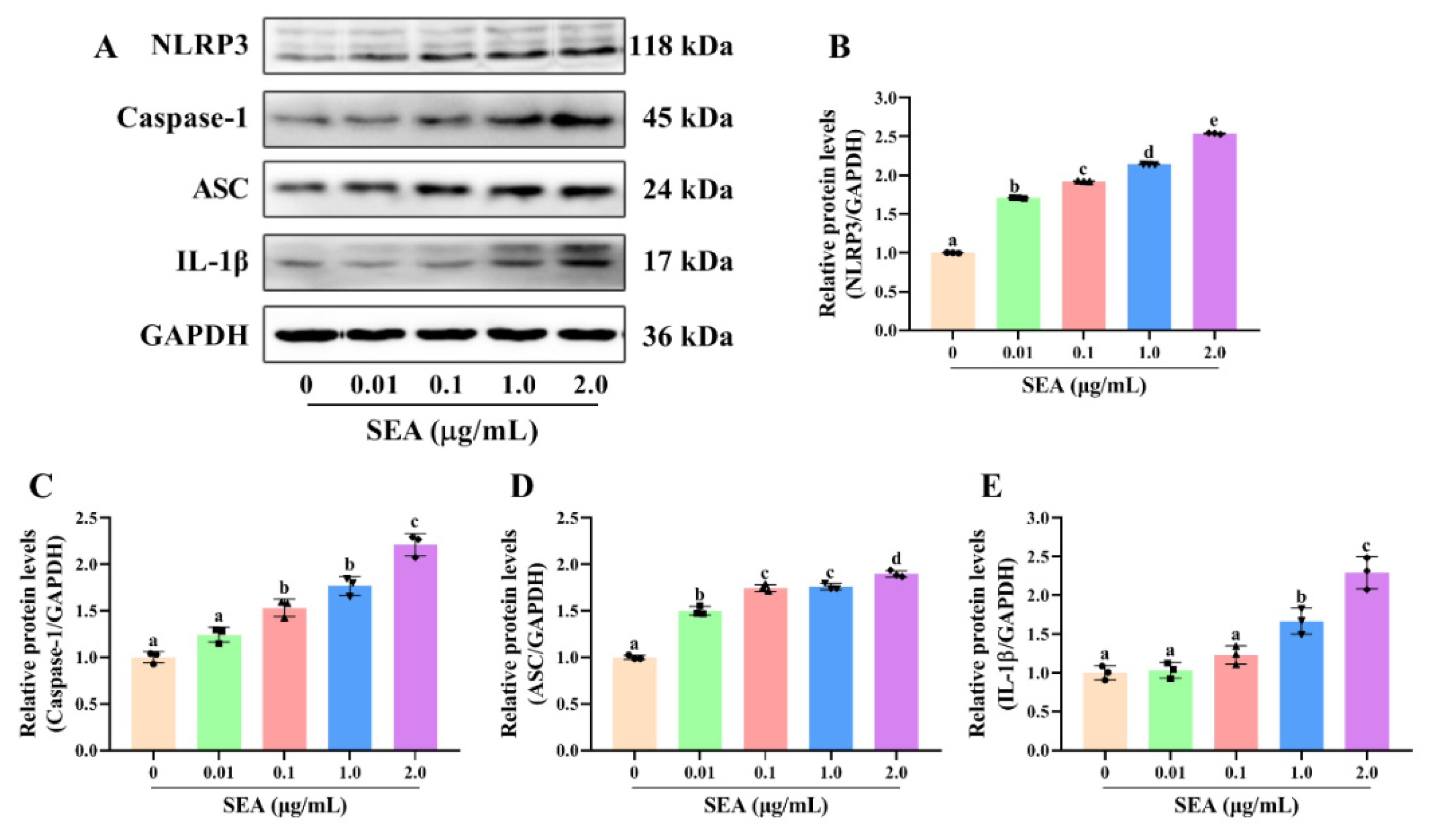 Toxins 14 00029 g008