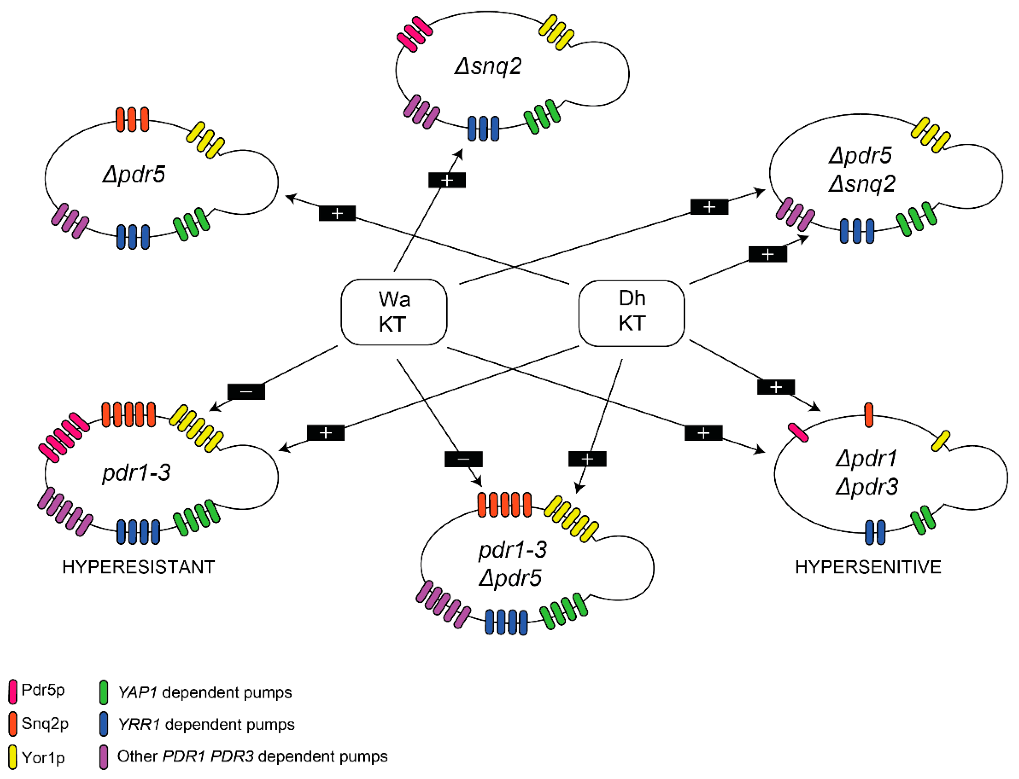 Toxins 14 00180 g005