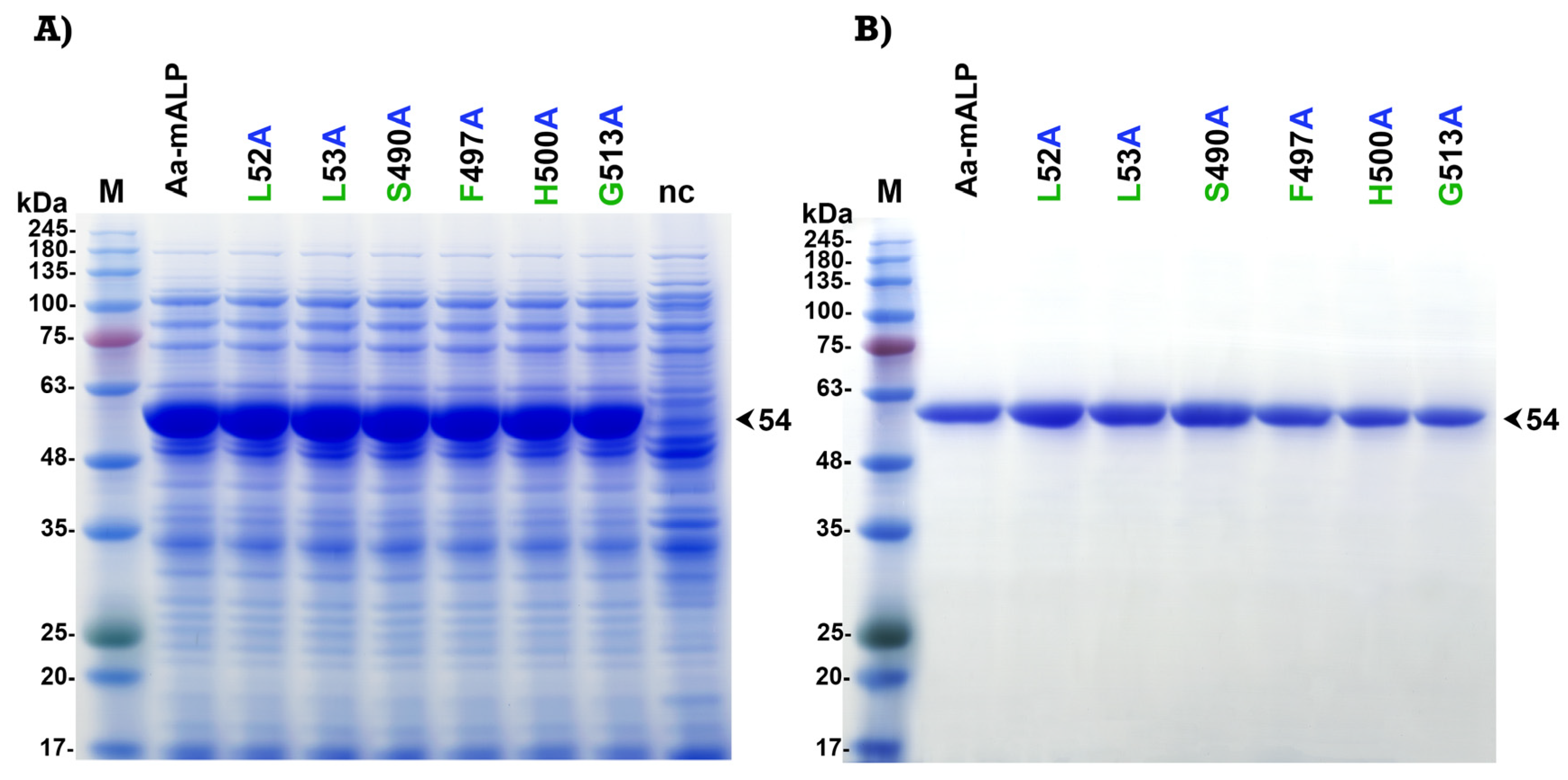Toxins 15 00114 g005