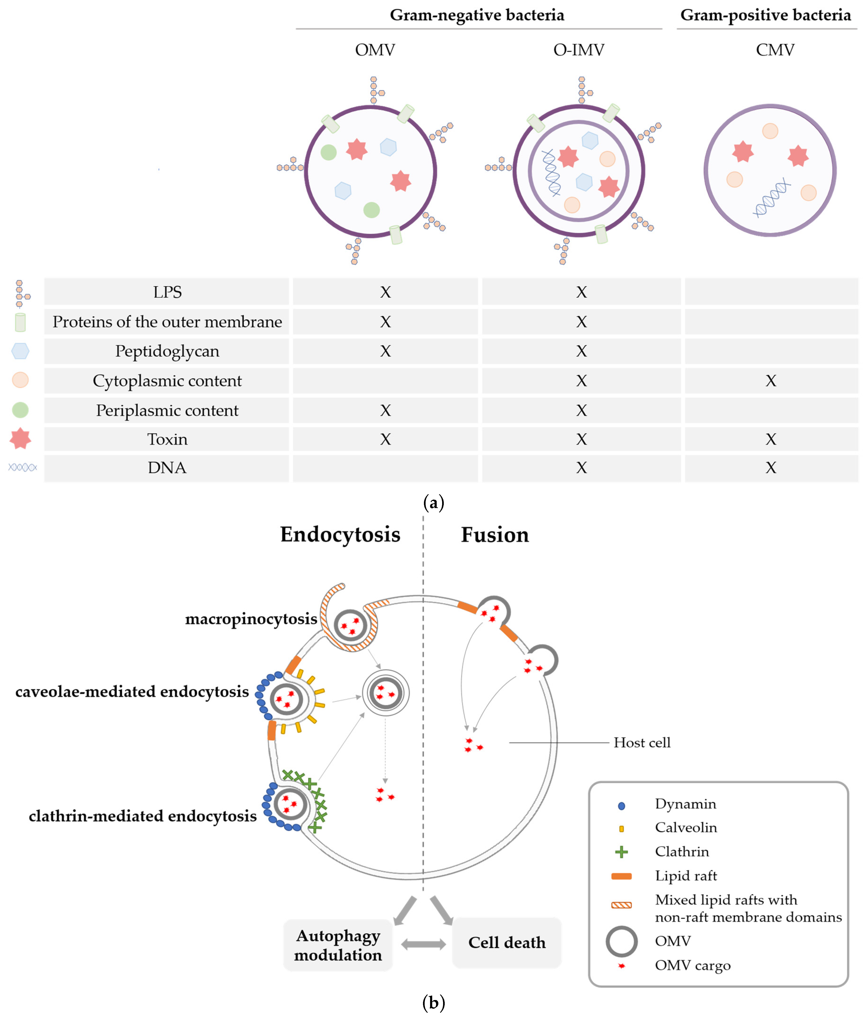Toxins 15 00502 g001