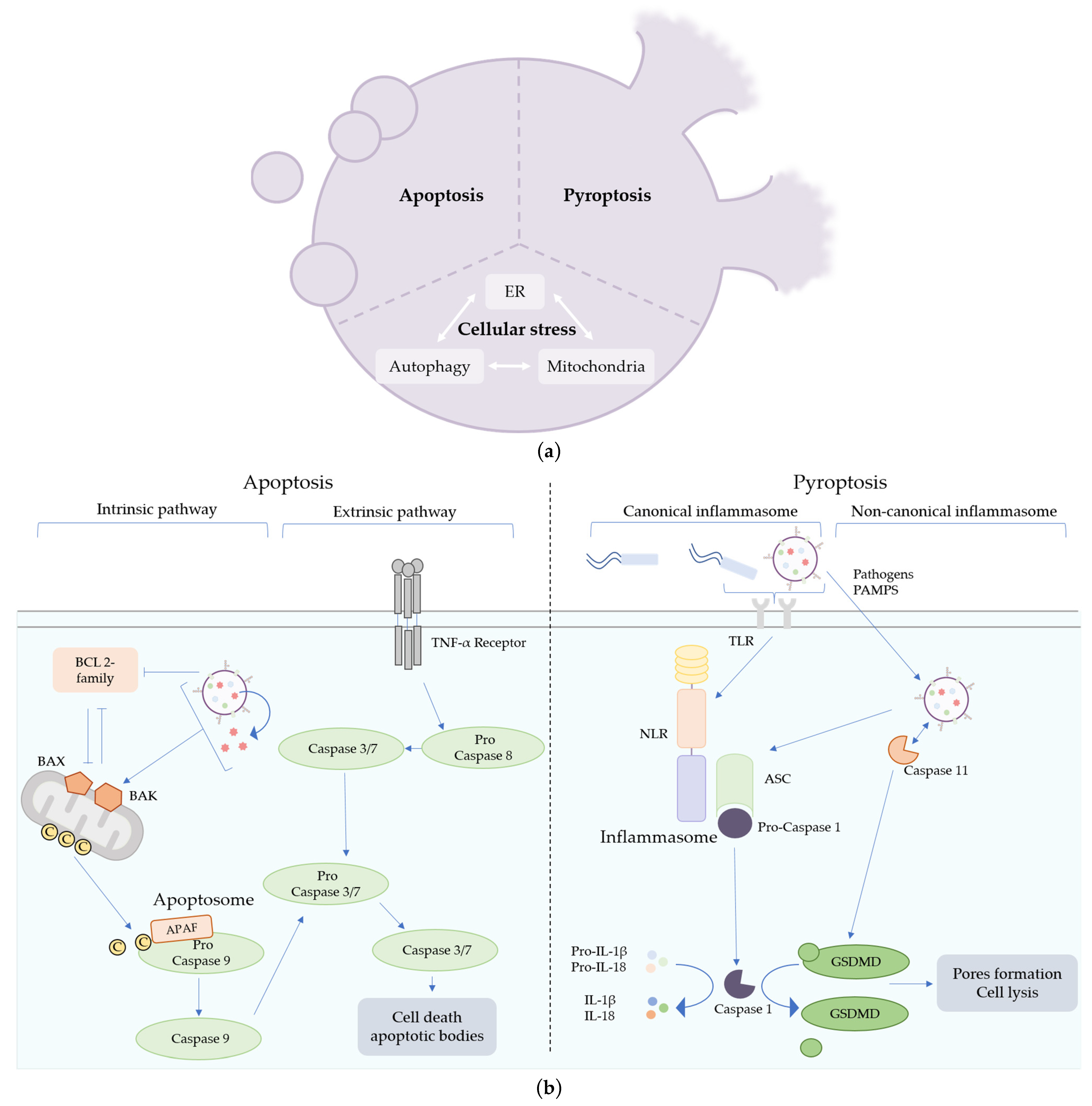 Toxins 15 00502 g002