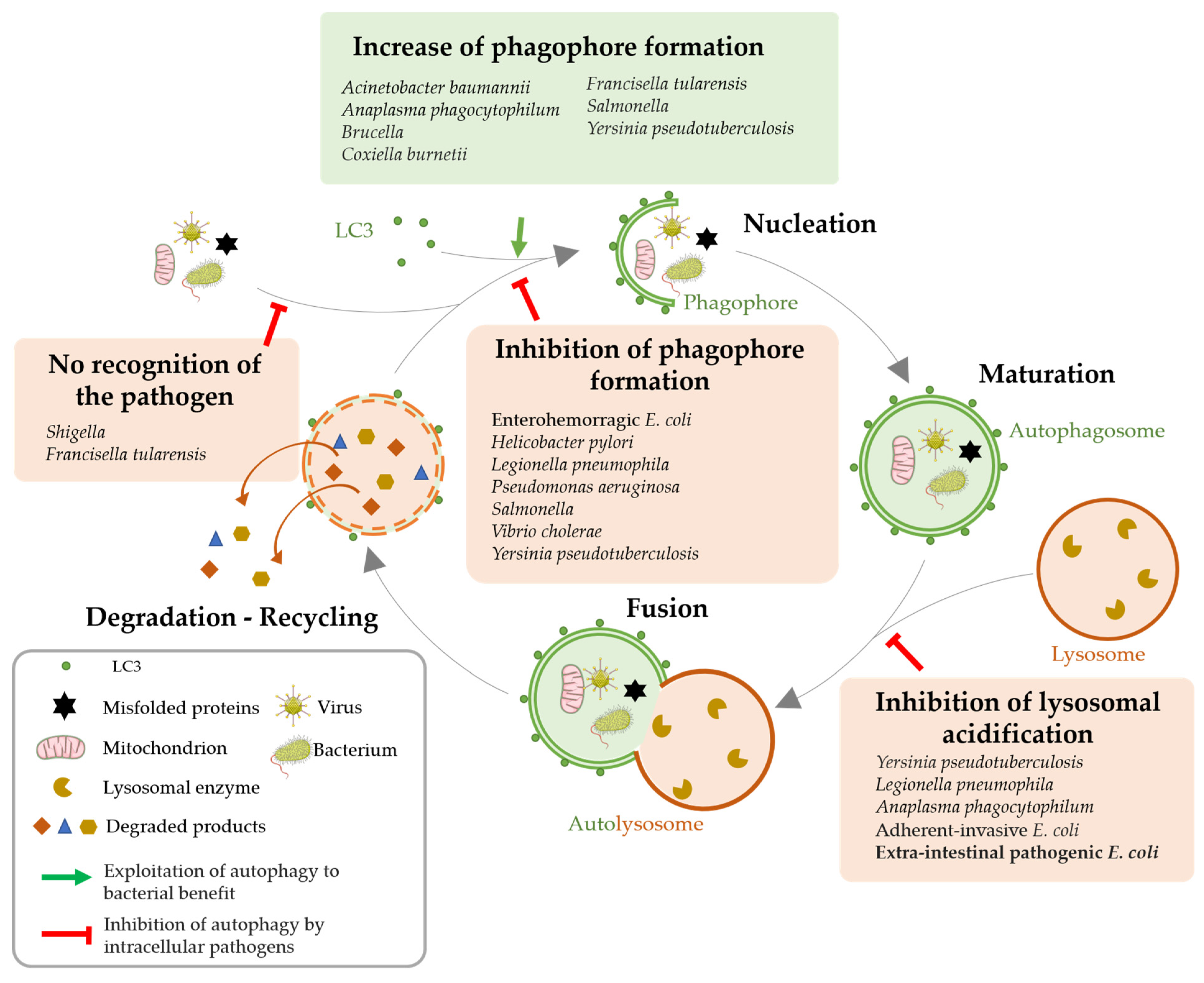 Toxins 15 00502 g003