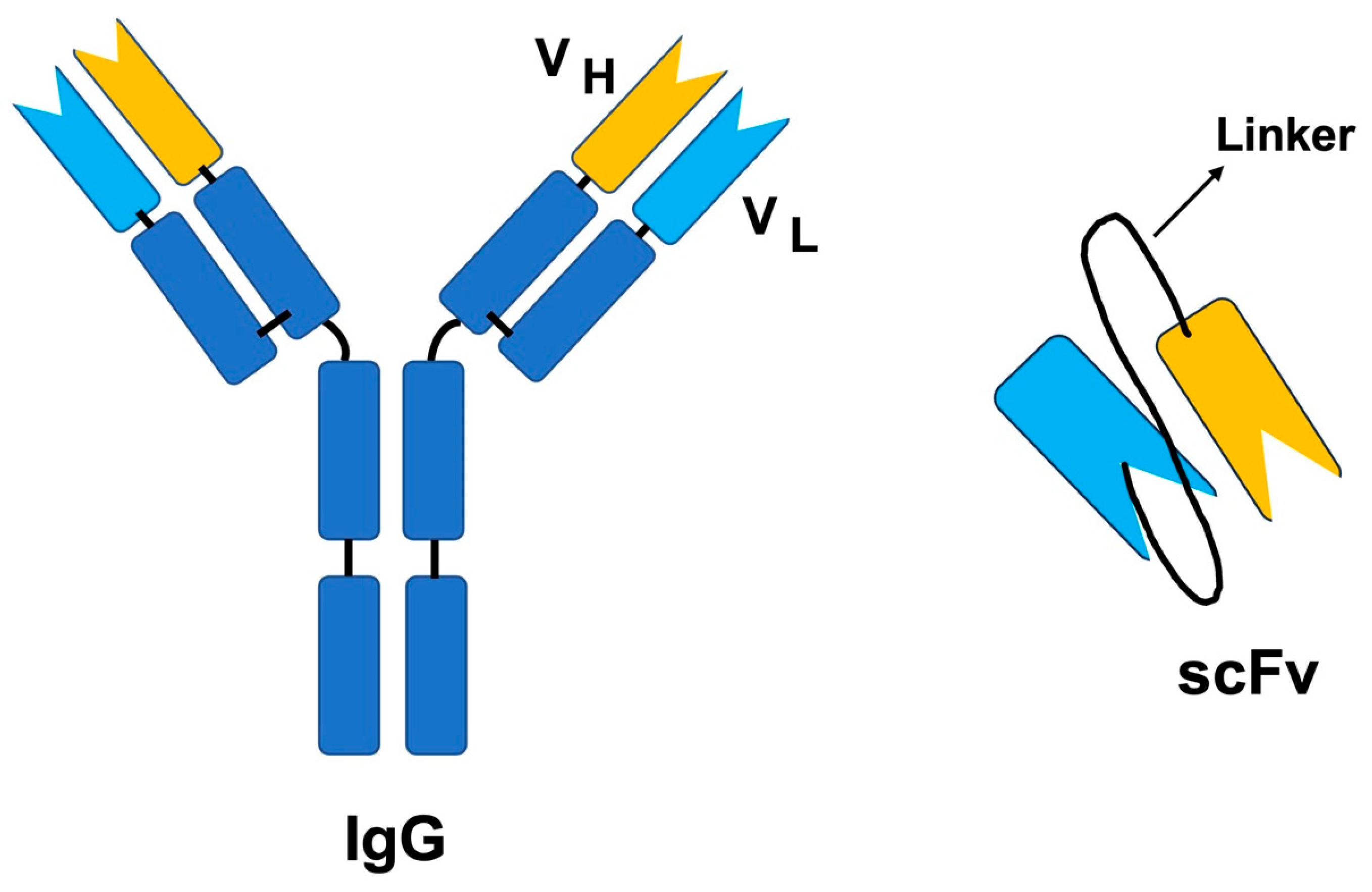 Toxins 15 00510 g002